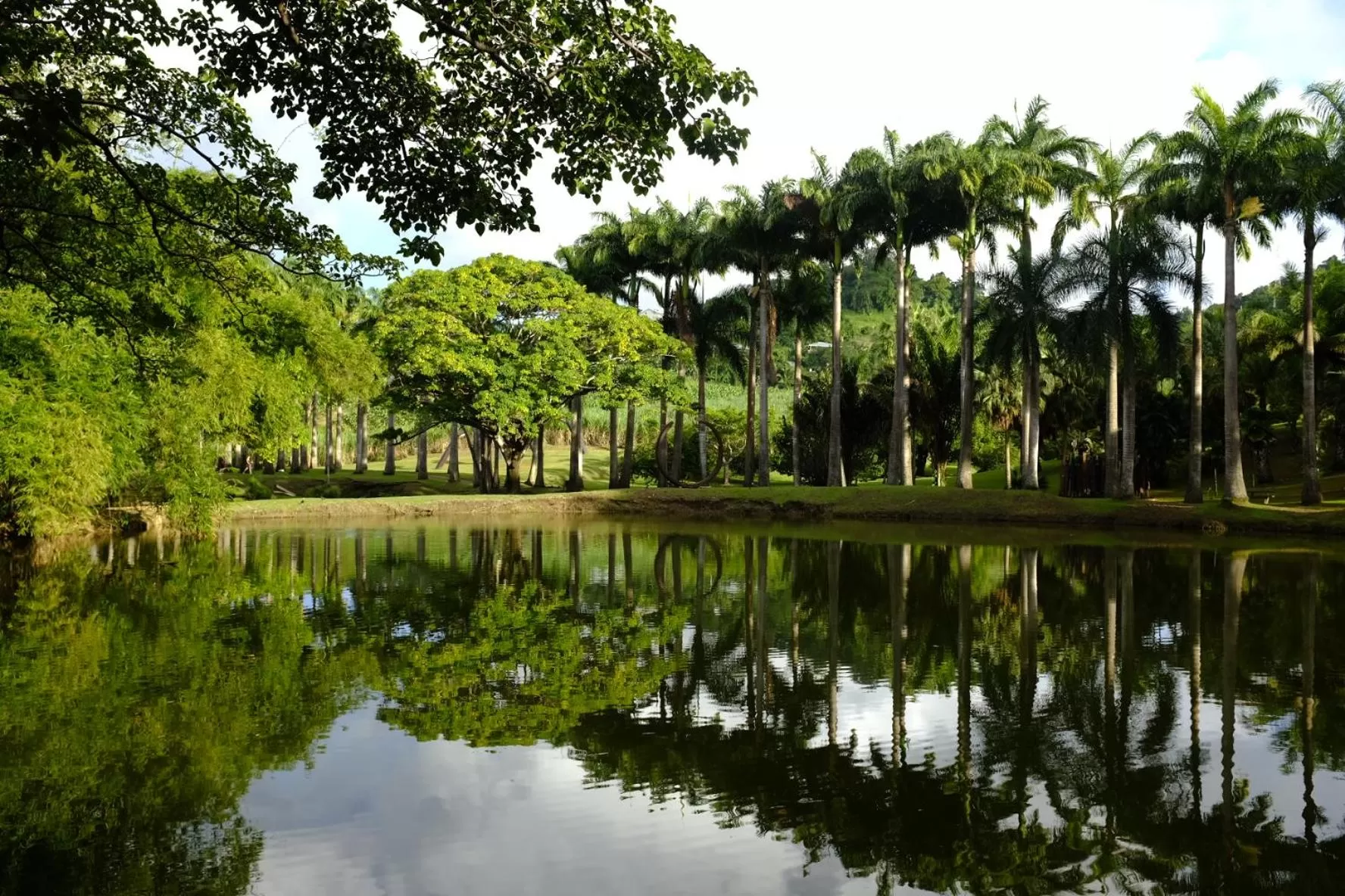 Nearby landmark in Bed and breakfast Riviere