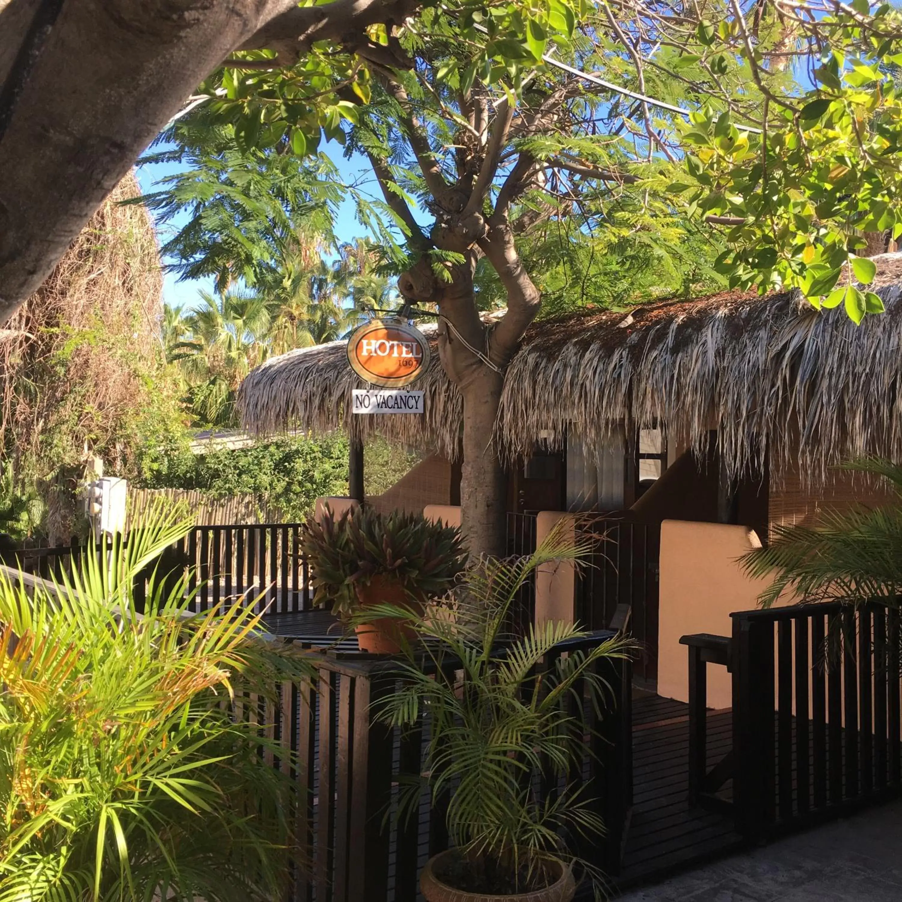 Balcony/Terrace in Hotel 1697 Loreto