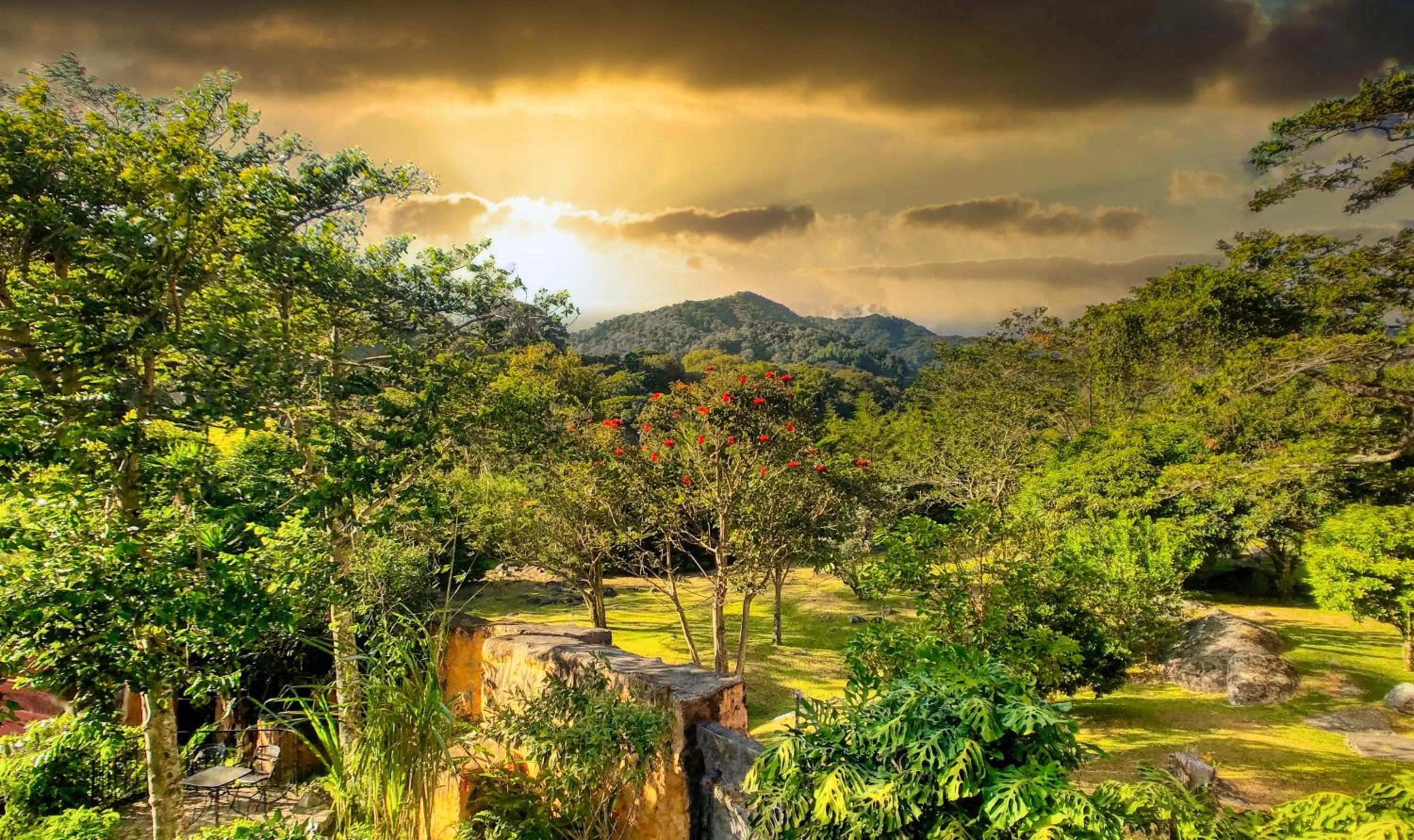 Patio, Natural Landscape in Boquete Garden Inn