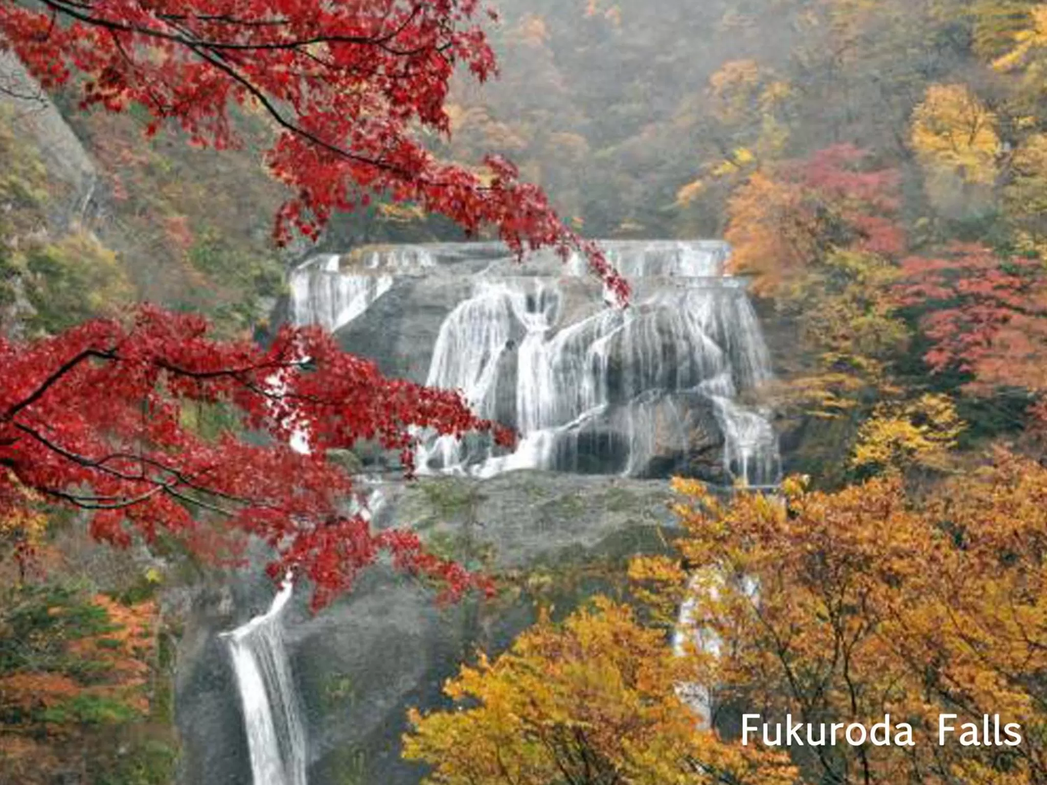 Day in Mito Keisei Hotel