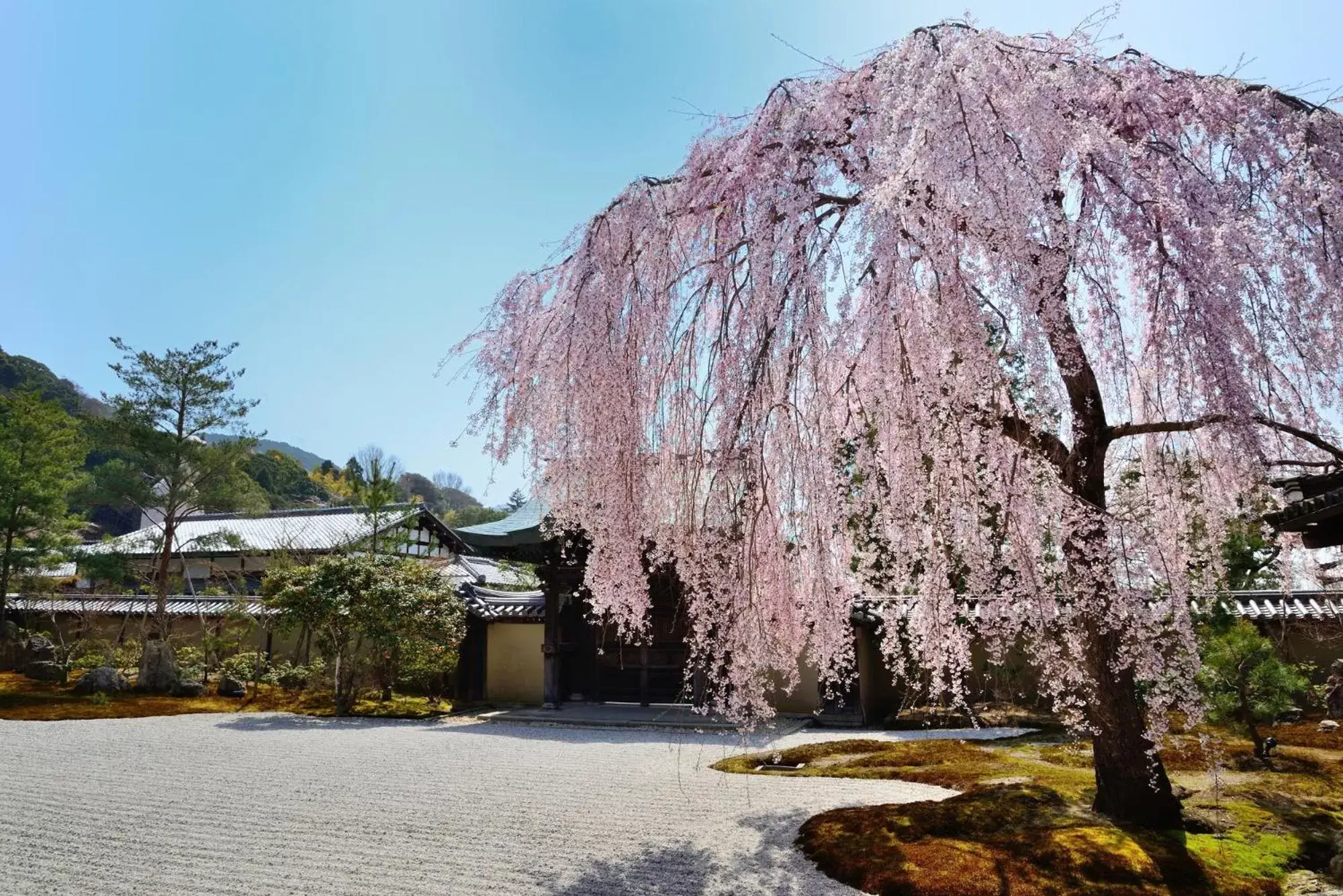 Nearby landmark in Sotetsu Fresa Inn Kyoto-Kiyomizu Gojo