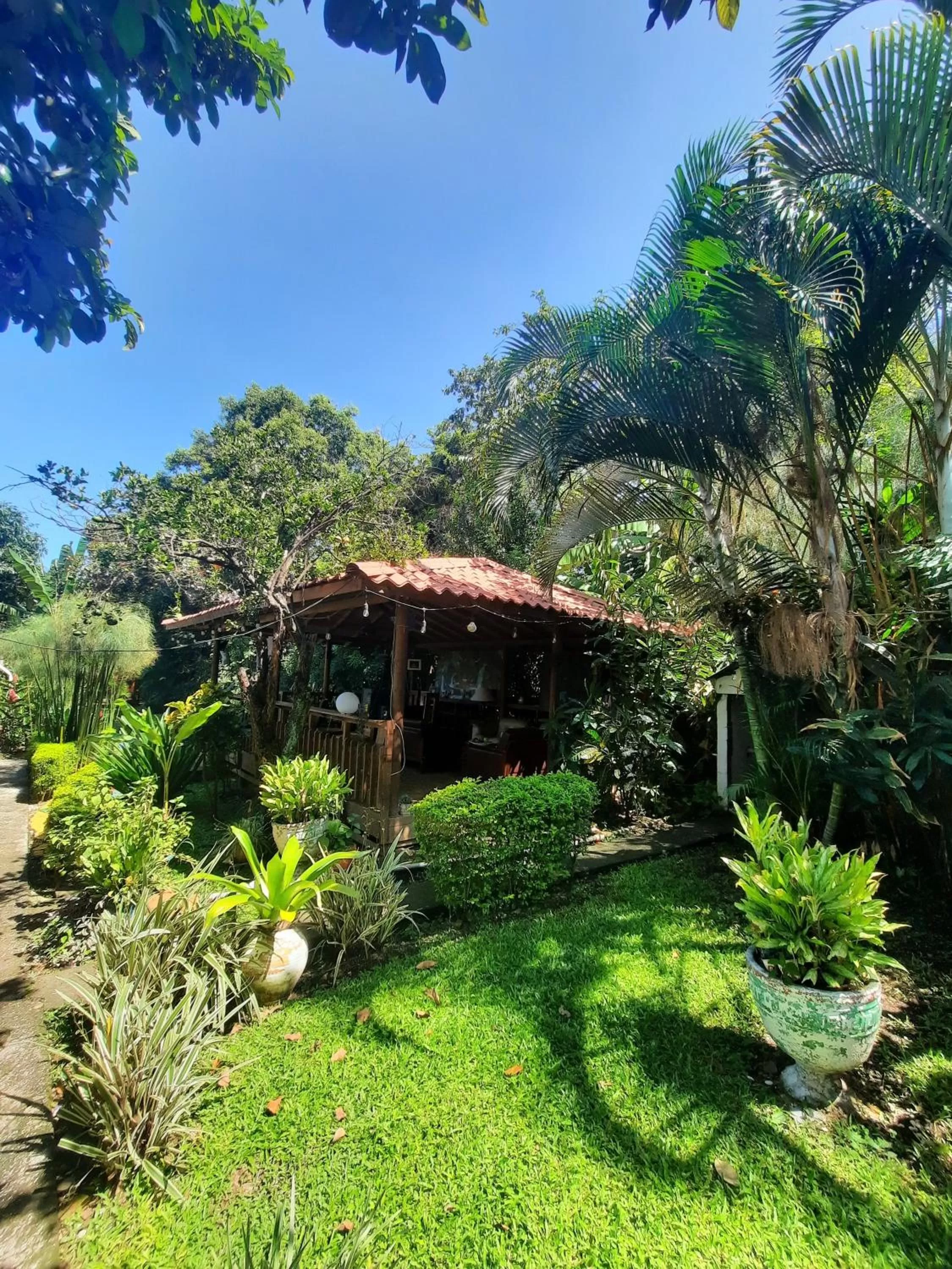 Garden in Brillasol Airport Hotel