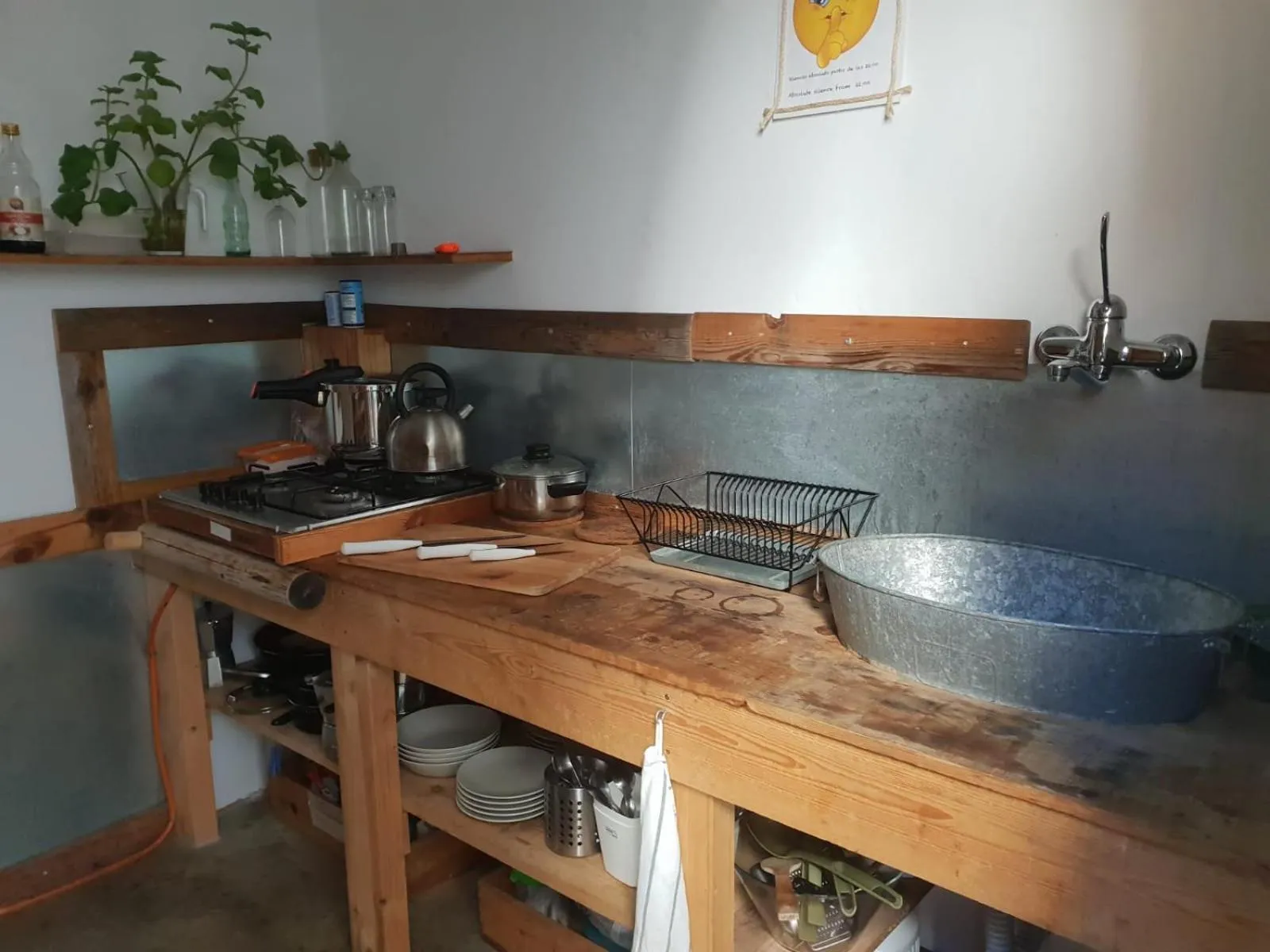 Communal kitchen in Cactus Host