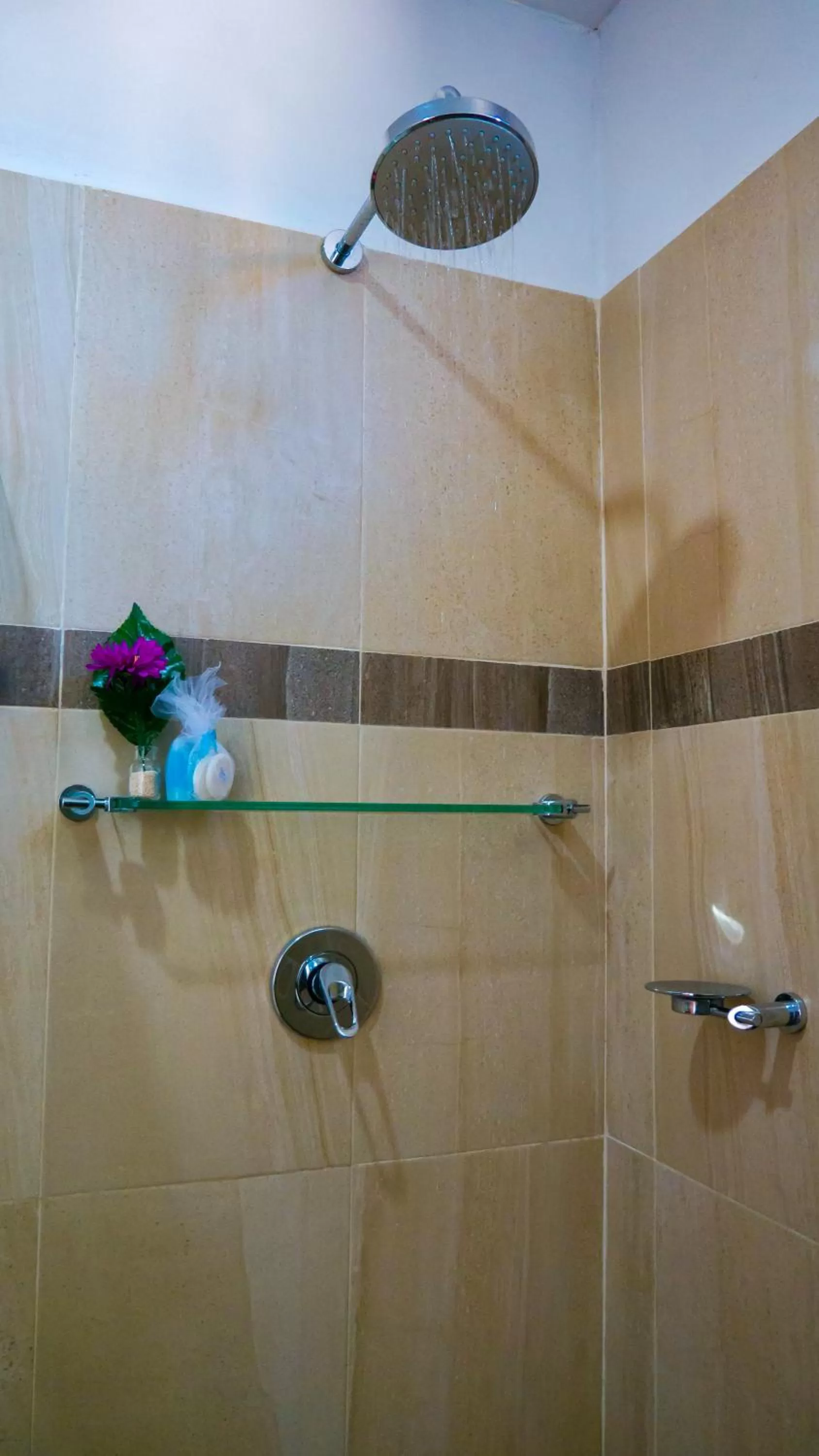 Decorative detail, Bathroom in Suite Isla Mujeres