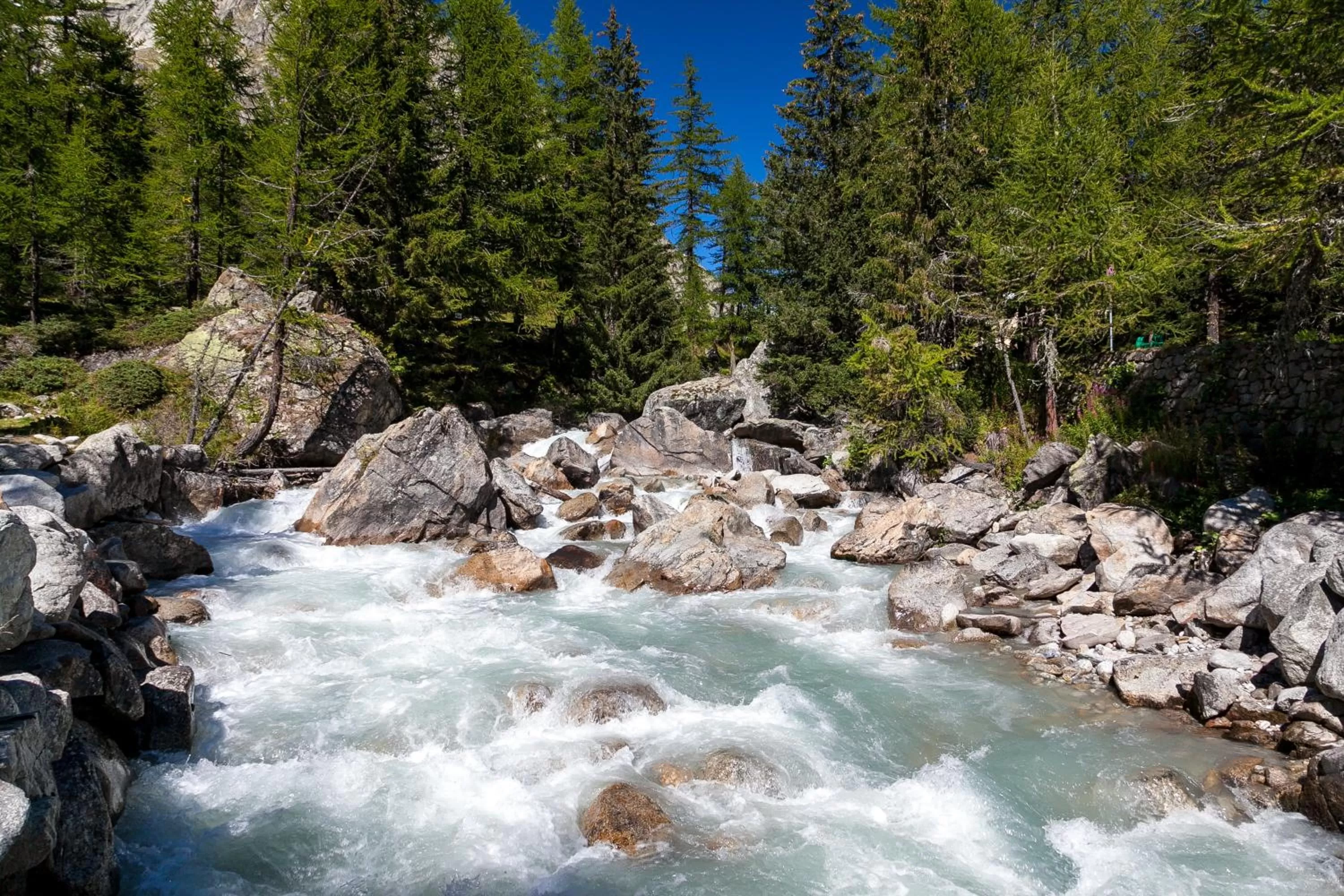 Area and facilities in Hotel Lo Scoiattolo