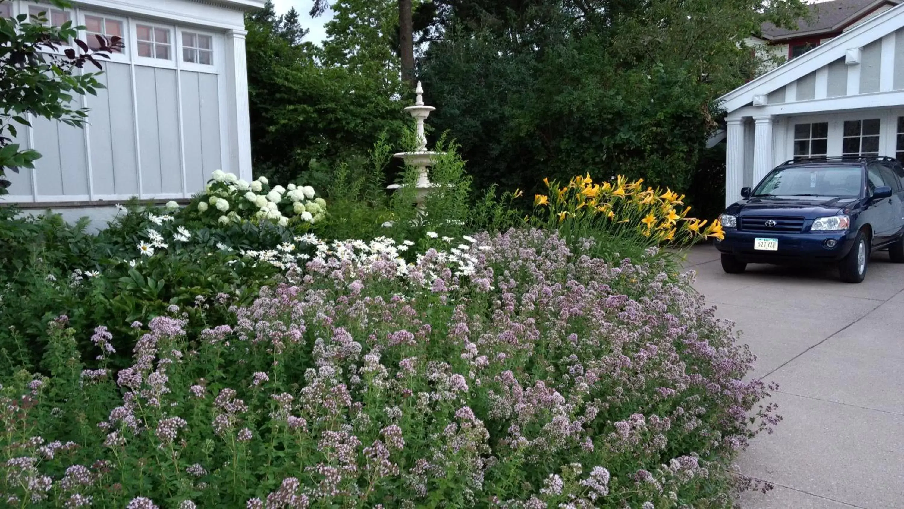 Garden in Alexander Mansion Bed & Breakfast