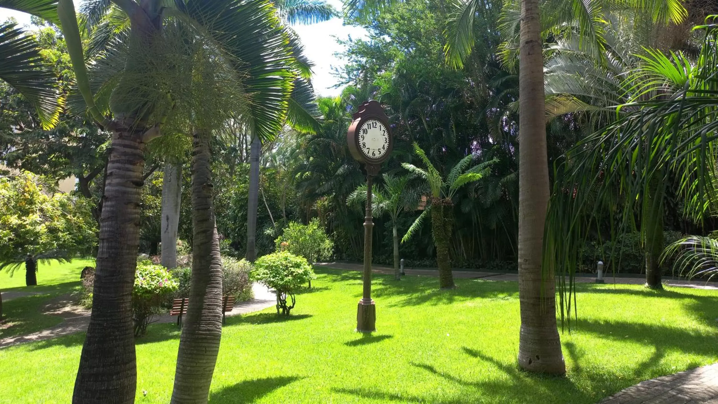 Other, Garden in Holiday Inn Cuernavaca, an IHG Hotel