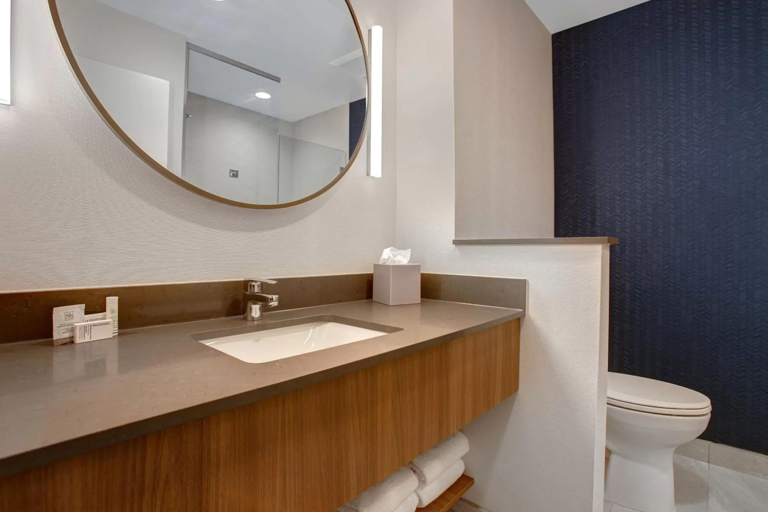 Bathroom in Fairfield by Marriott Inn & Suites Denver Southwest, Littleton