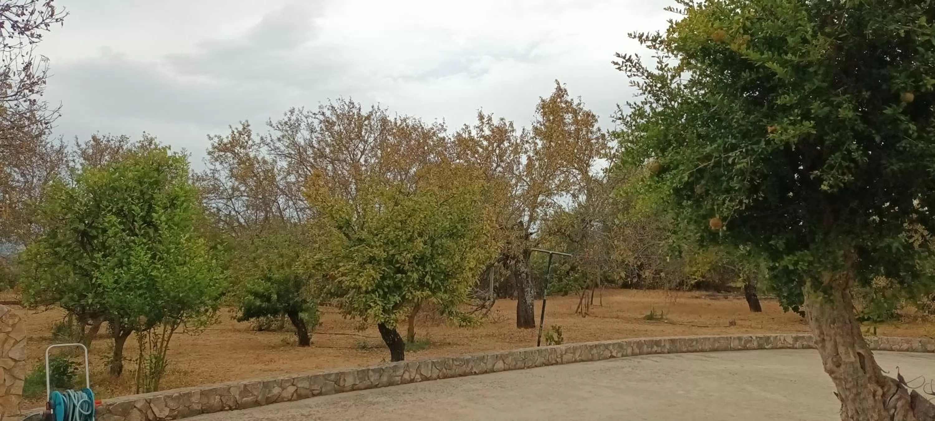Property building in B&B Quinta da Romãzeira