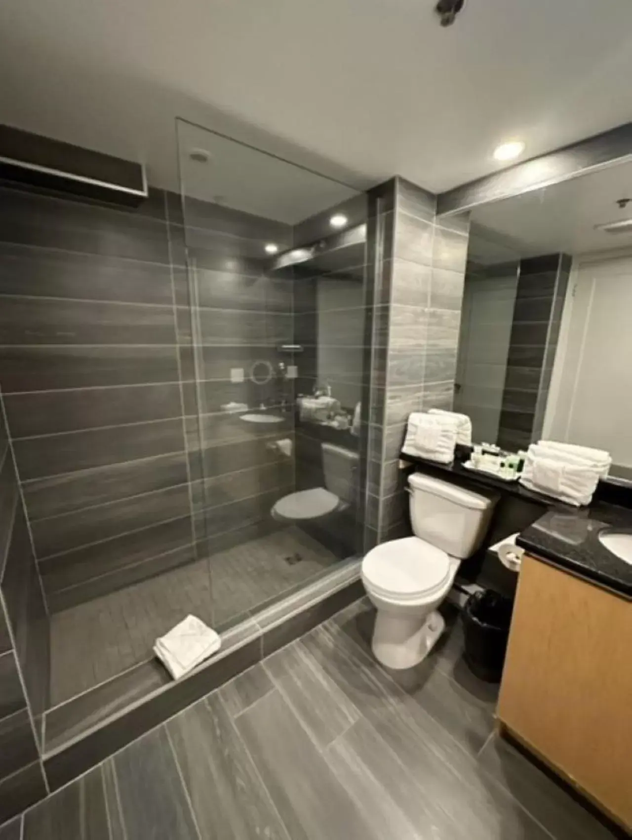 Shower, Bathroom in Hotel Port-Royal