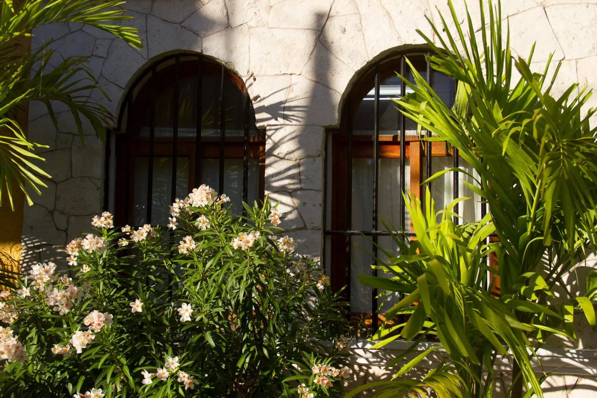 Property building in Hotel Bosque Caribe, 5th Av. zone Property building in Hotel Bosque Caribe, 5th Av. zone