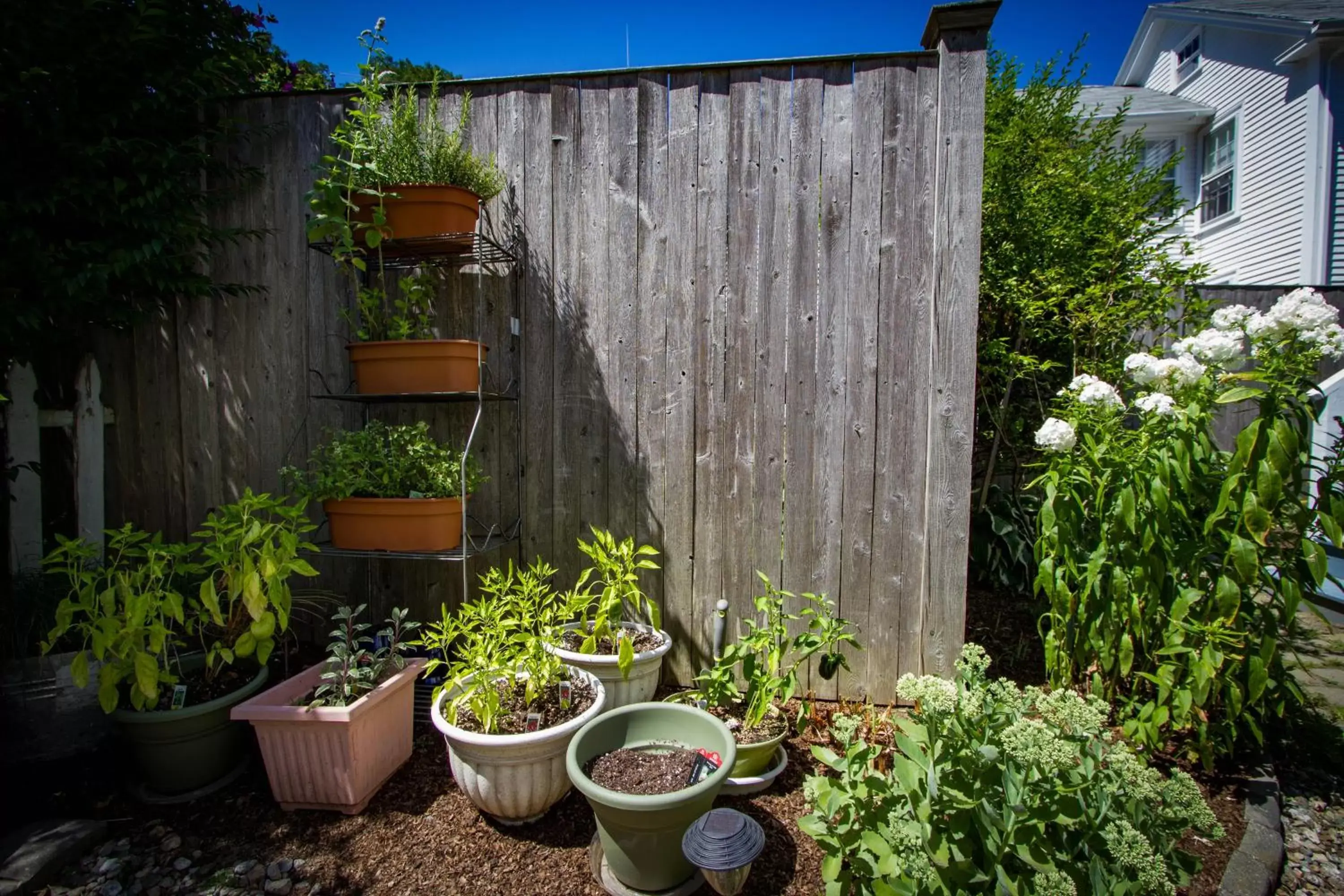 Property building in Sally Webster Inn Property building in Sally Webster Inn