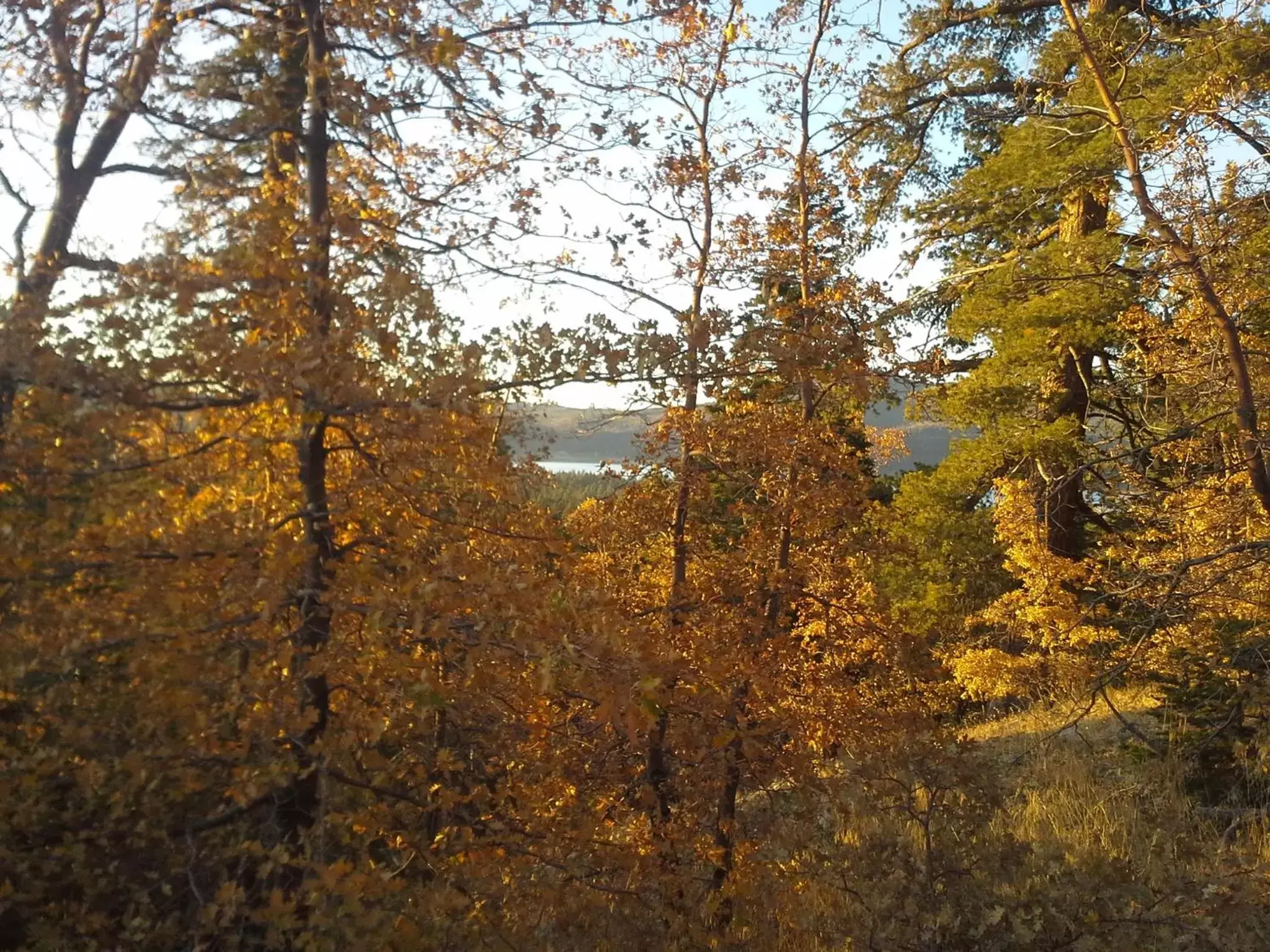 Autumn, Natural Landscape in Hillcrest Suites & Cabins