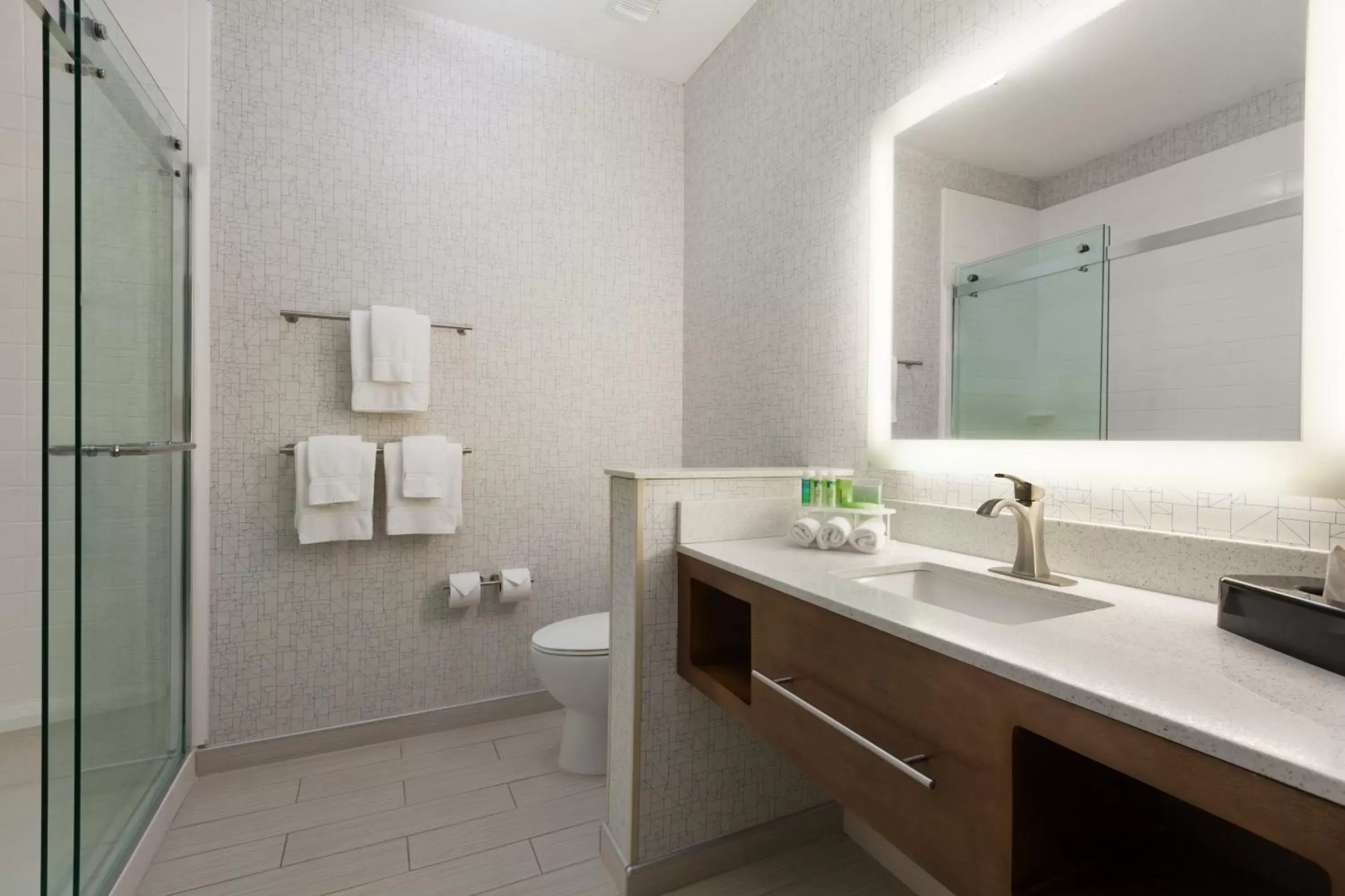Bathroom in Holiday Inn Express & Suites Edinburg- Mcallen Area, an IHG Hotel