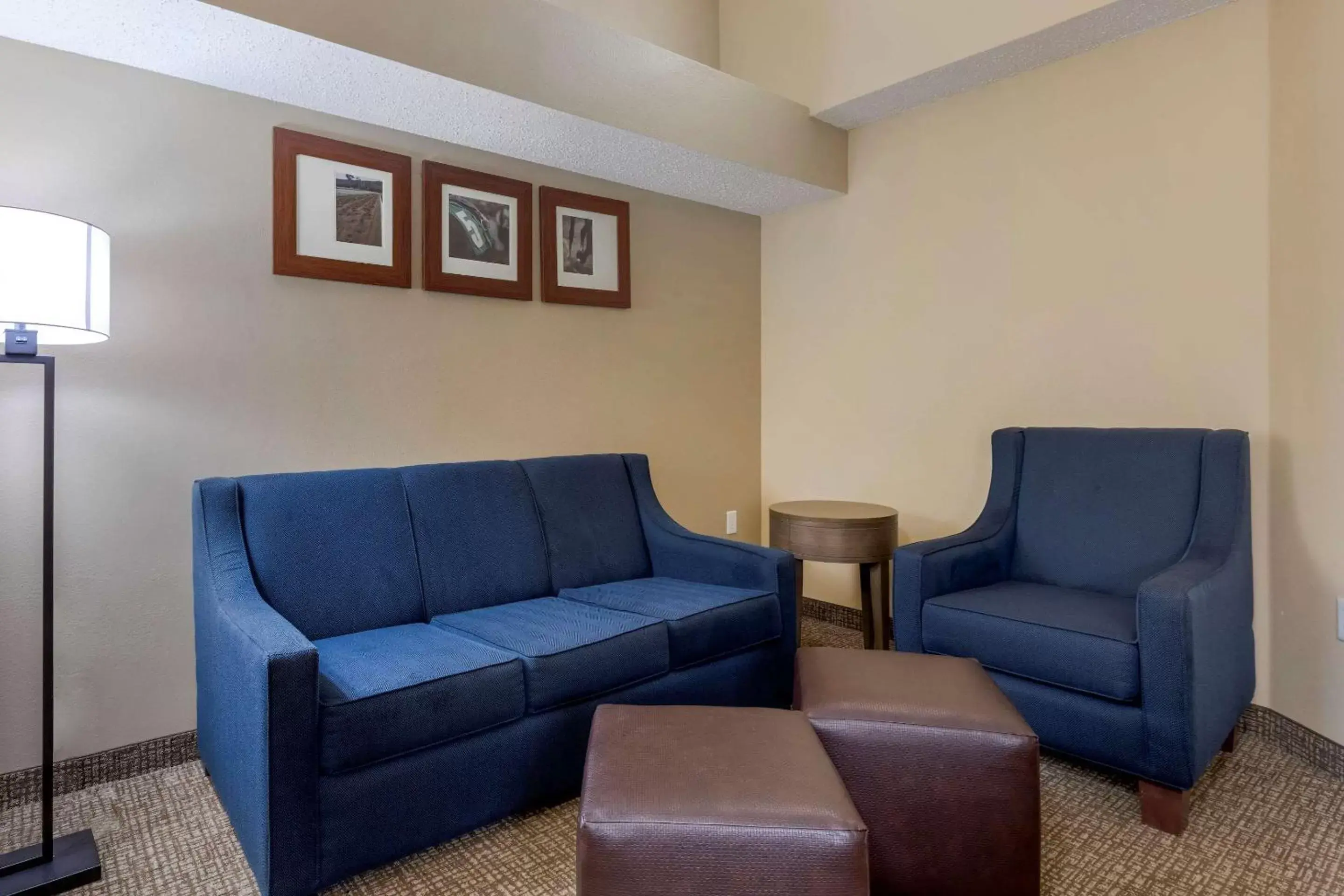 Seating Area in Comfort Suites DFW Airport