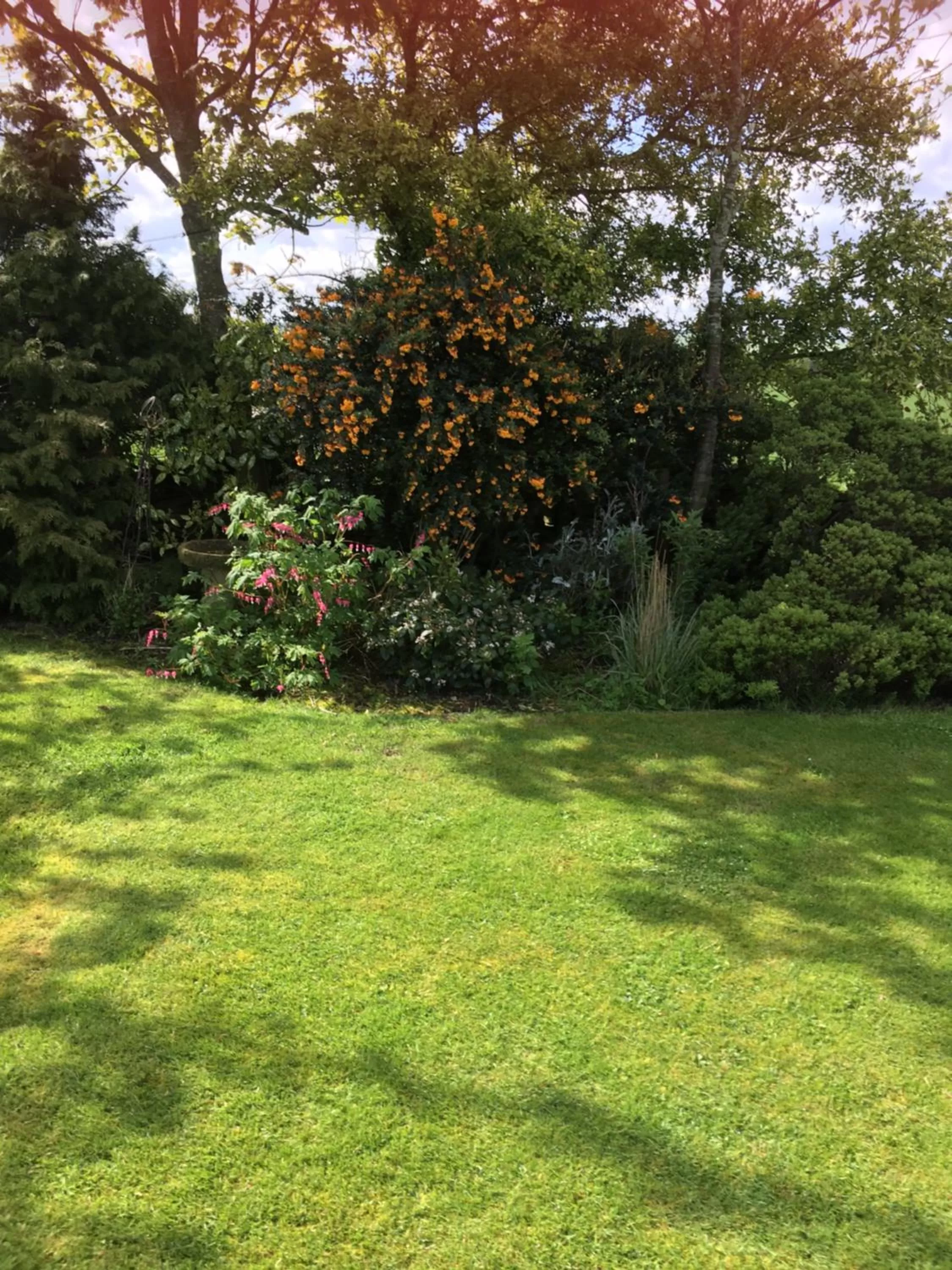 Garden in Oscar Park Farm
