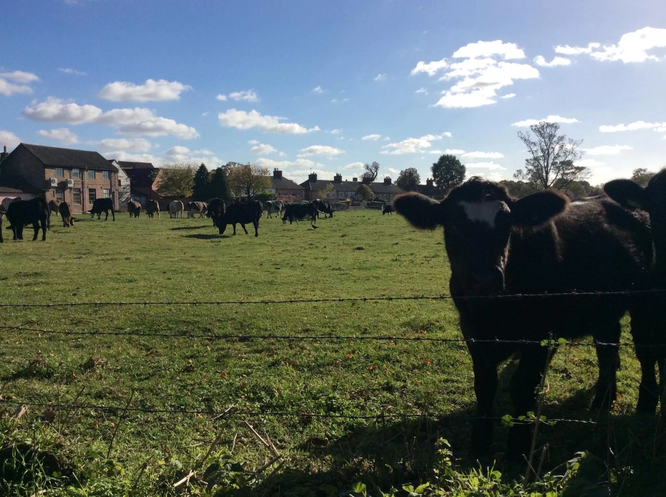 Quiet street view in St.Catherine`s Cottage, The Old School House