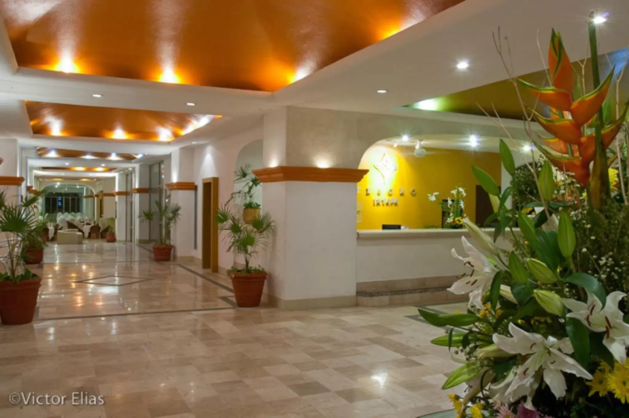 Lobby or reception, Lobby/Reception in ENNA INN IXTAPA DEPARTAMENTOS ViSTA AL MAR