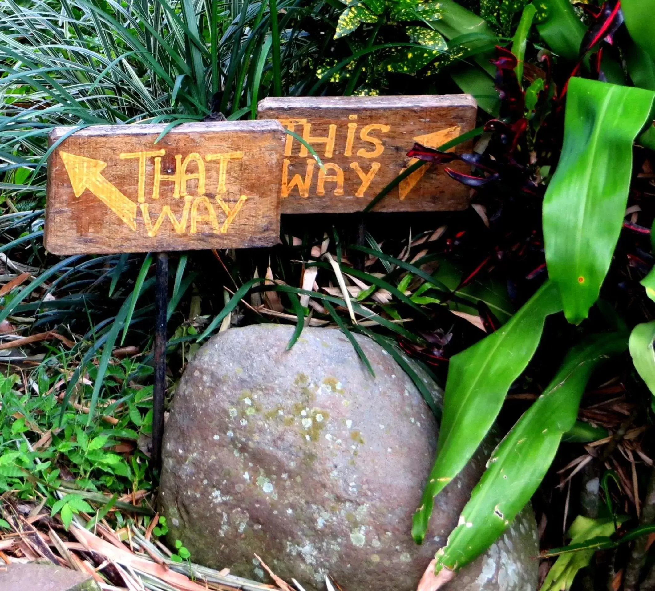 Garden in Pura Vida Hotel