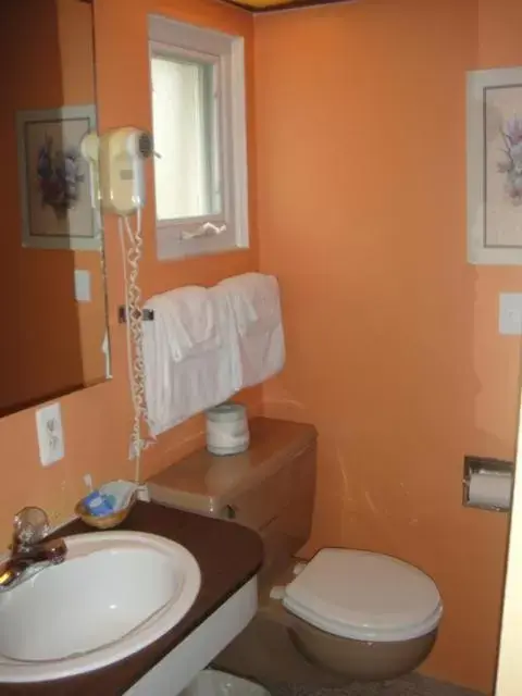 Bathroom in Standish Motel