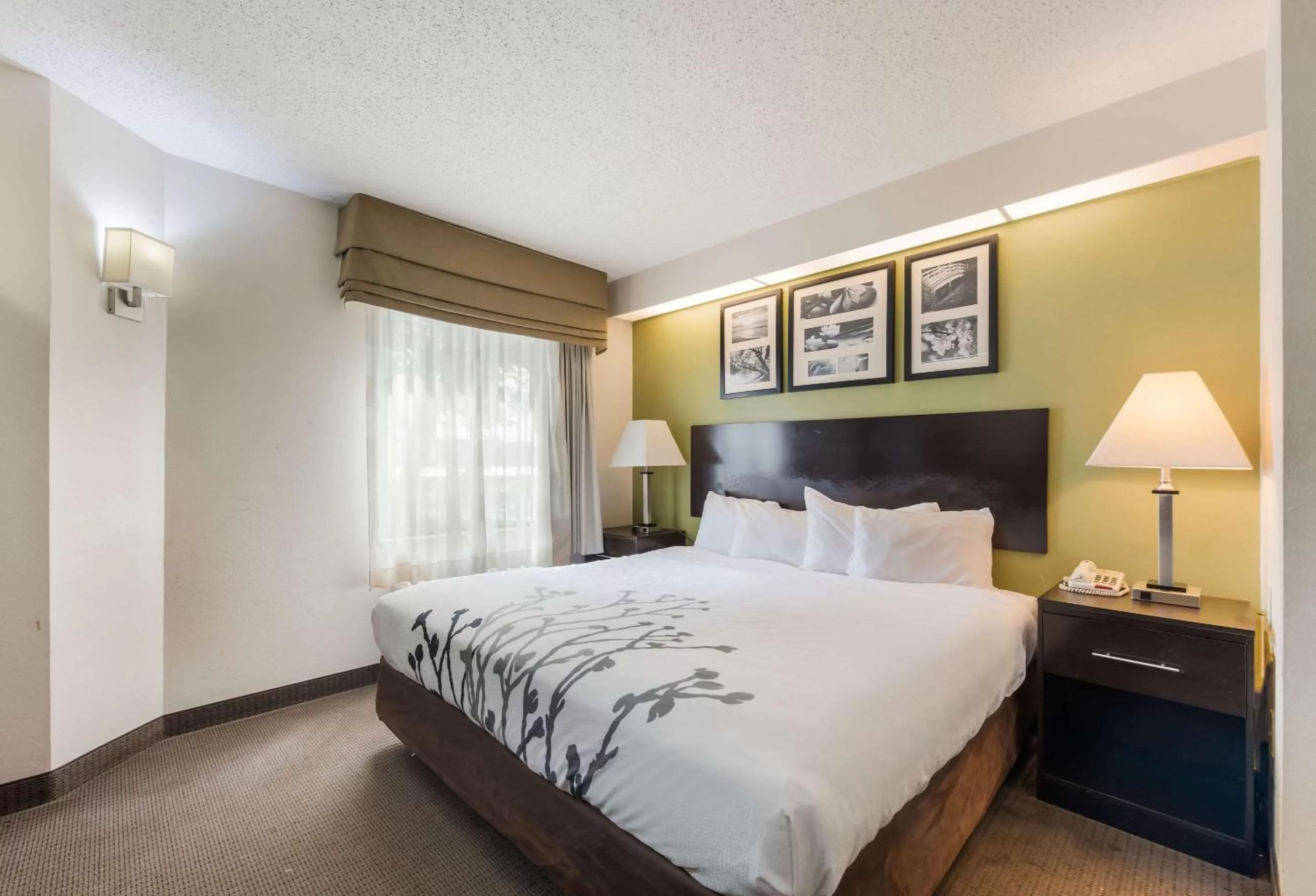 Photo of the whole room, Bed in Rodeway Inn