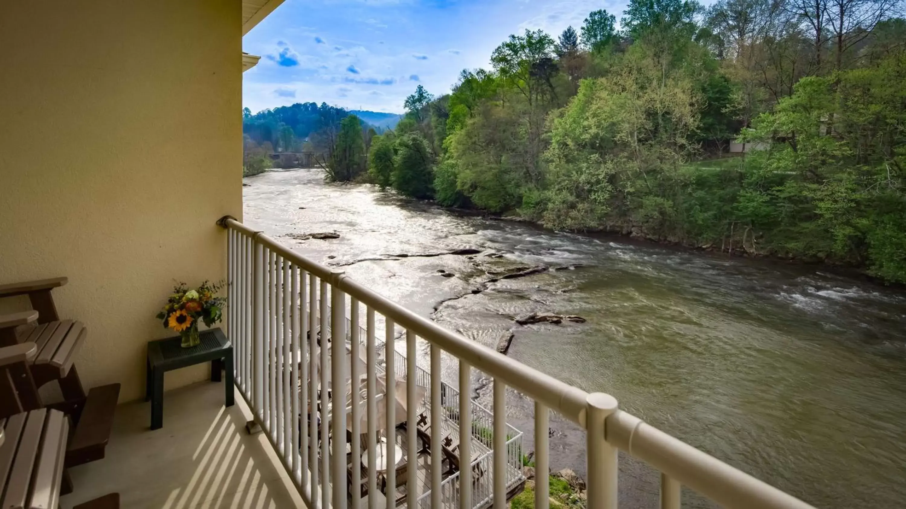 Photo of the whole room in Best Western Plus River Escape Sylva / Dillsboro