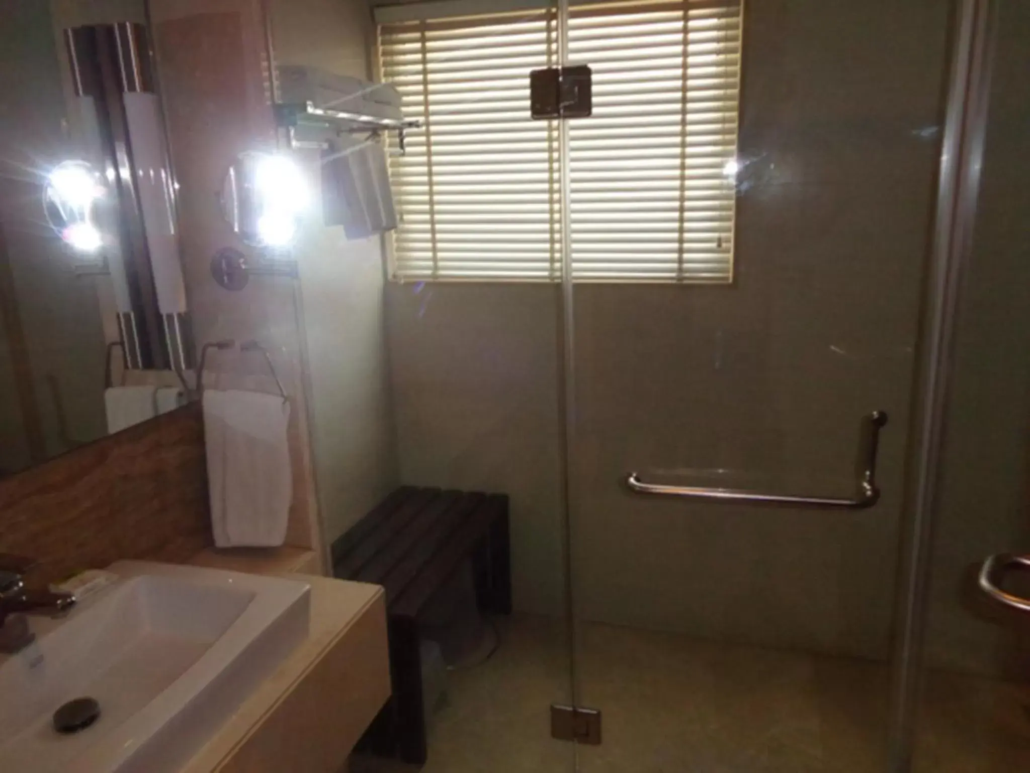 Bathroom in Ramada Ahmedabad