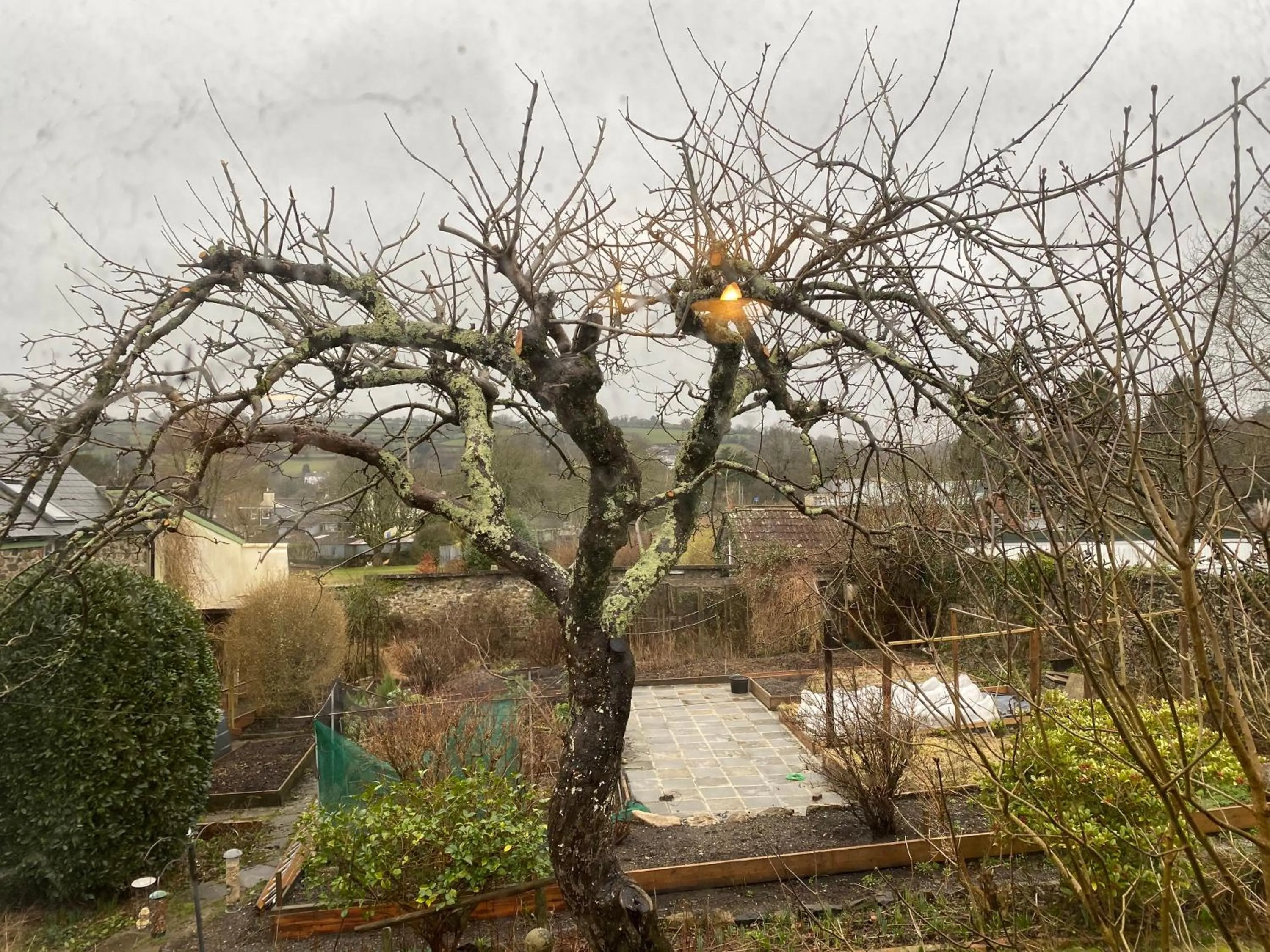 View (from property/room) in Station House, Dartmoor and Coast located, Village centre Hotel