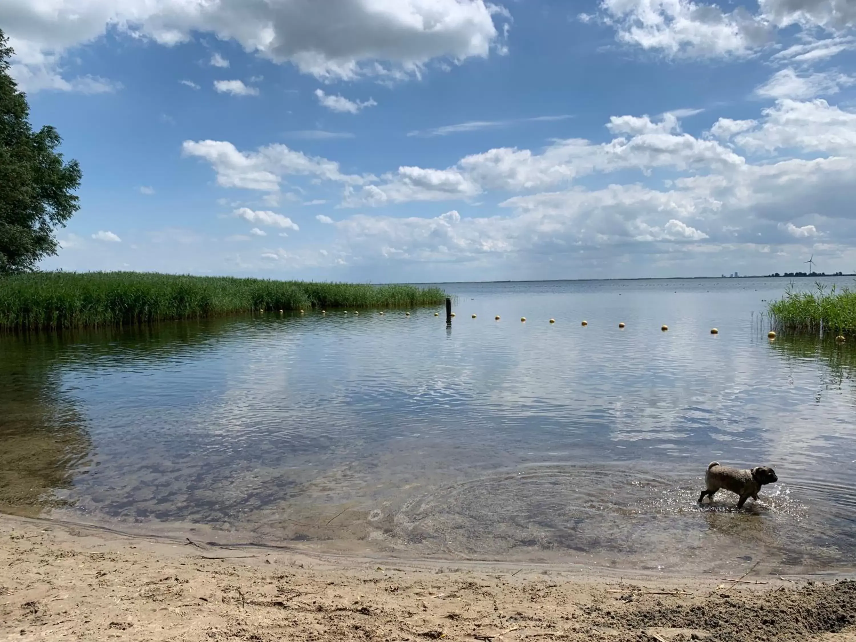 Beach in Fortuna Spinoza