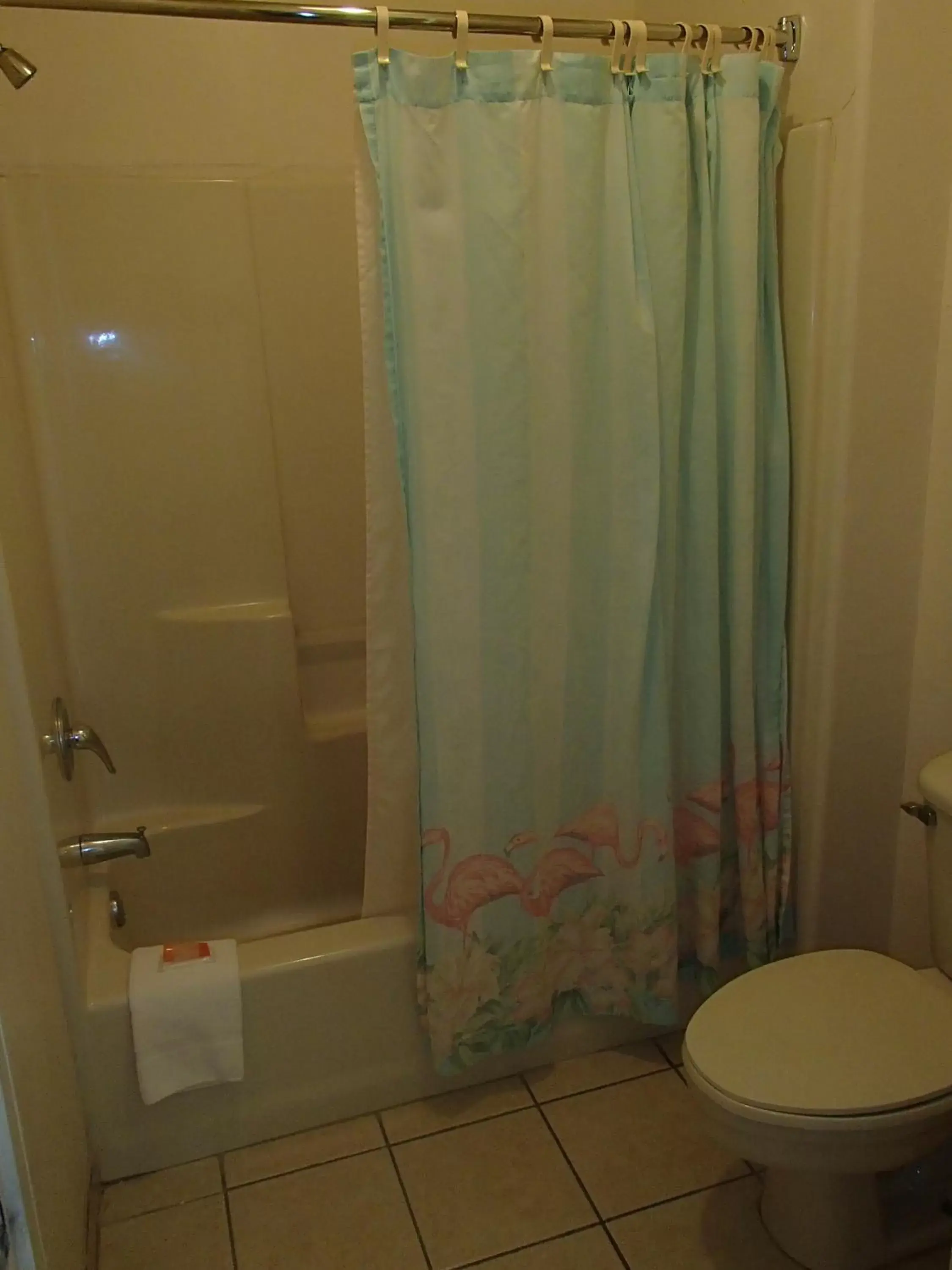 Bathroom in Flamingo Inn