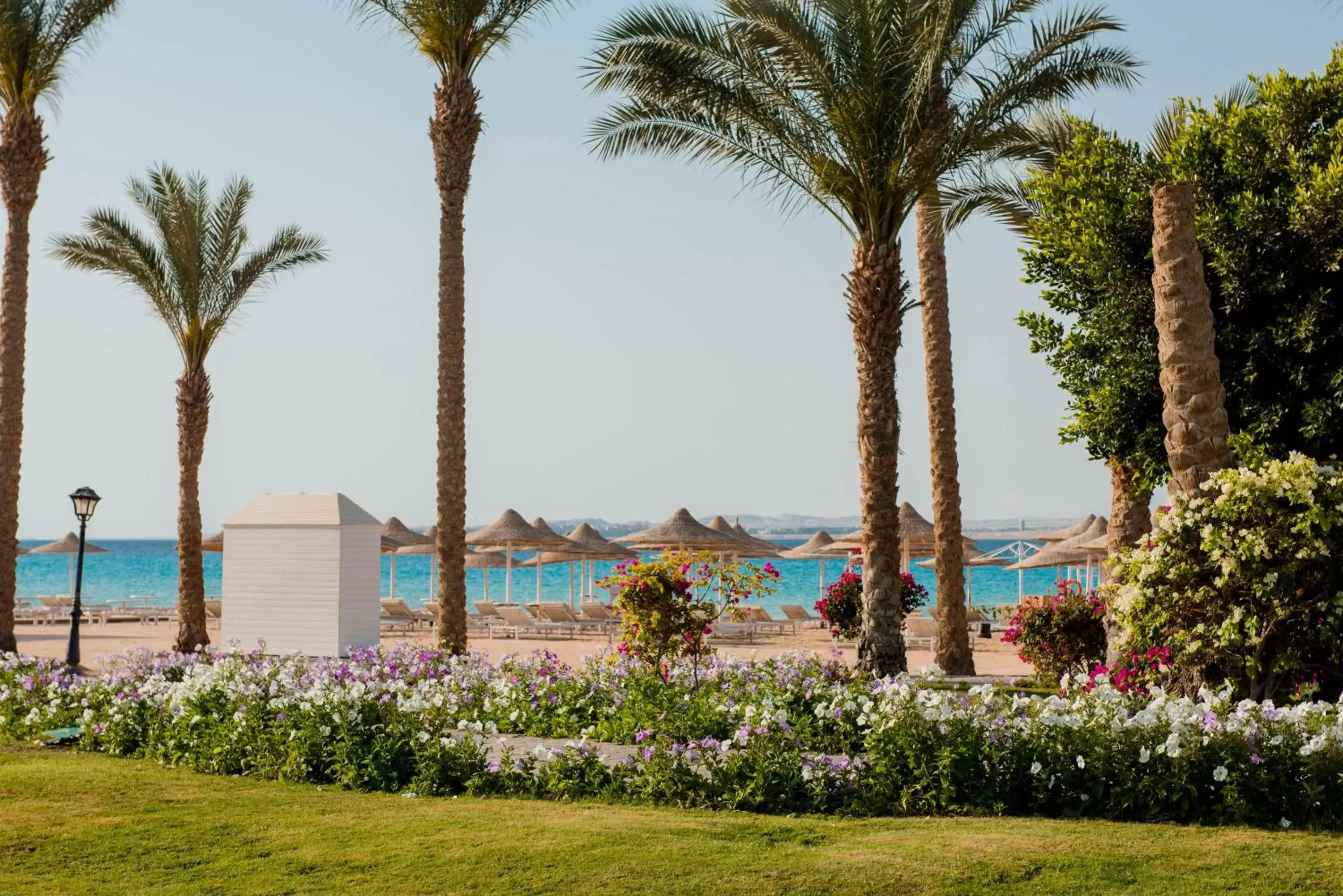Garden in Pyramisa Beach Resort Sahl Hasheesh