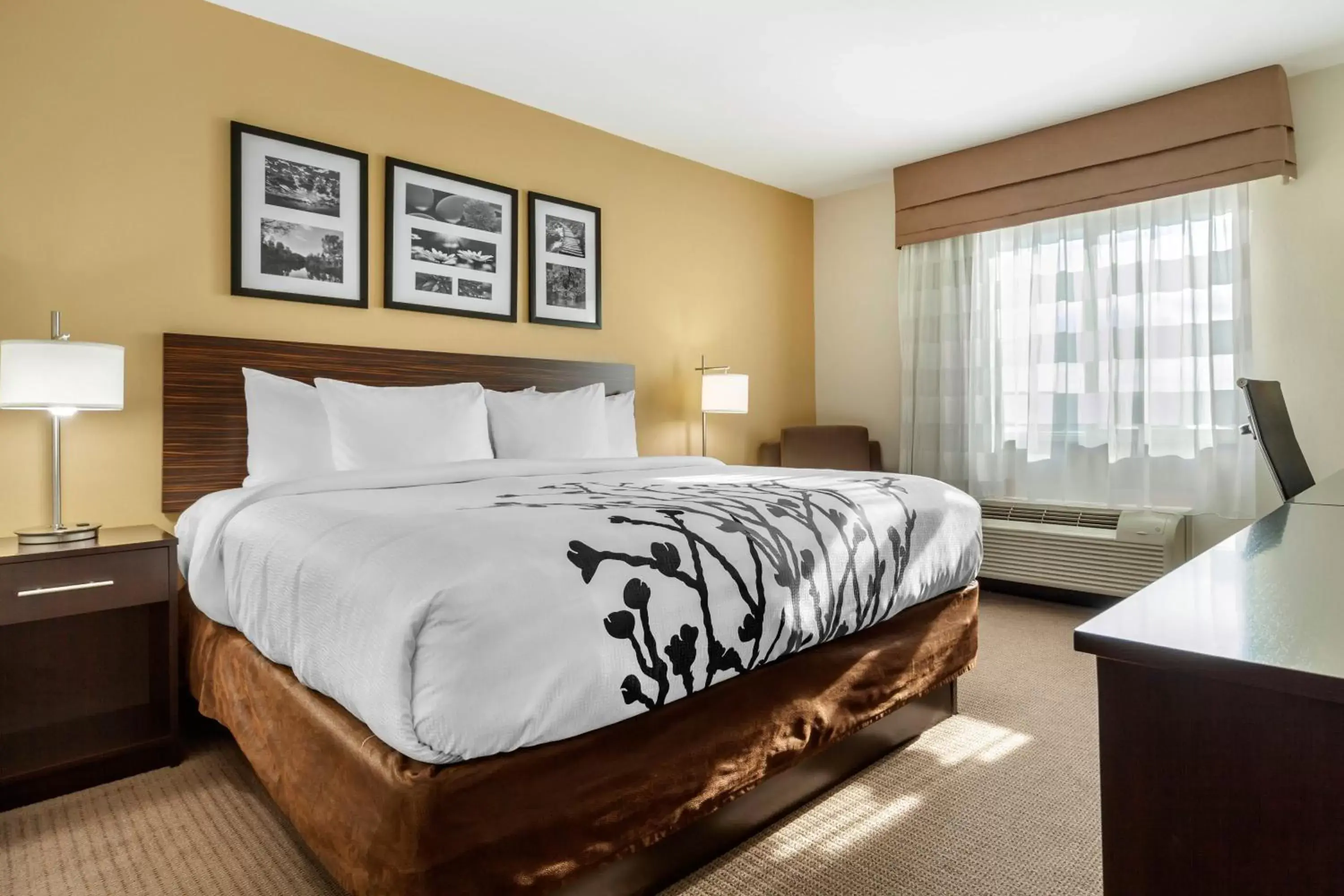 Bed in Sleep Inn & Suites Devils Lake