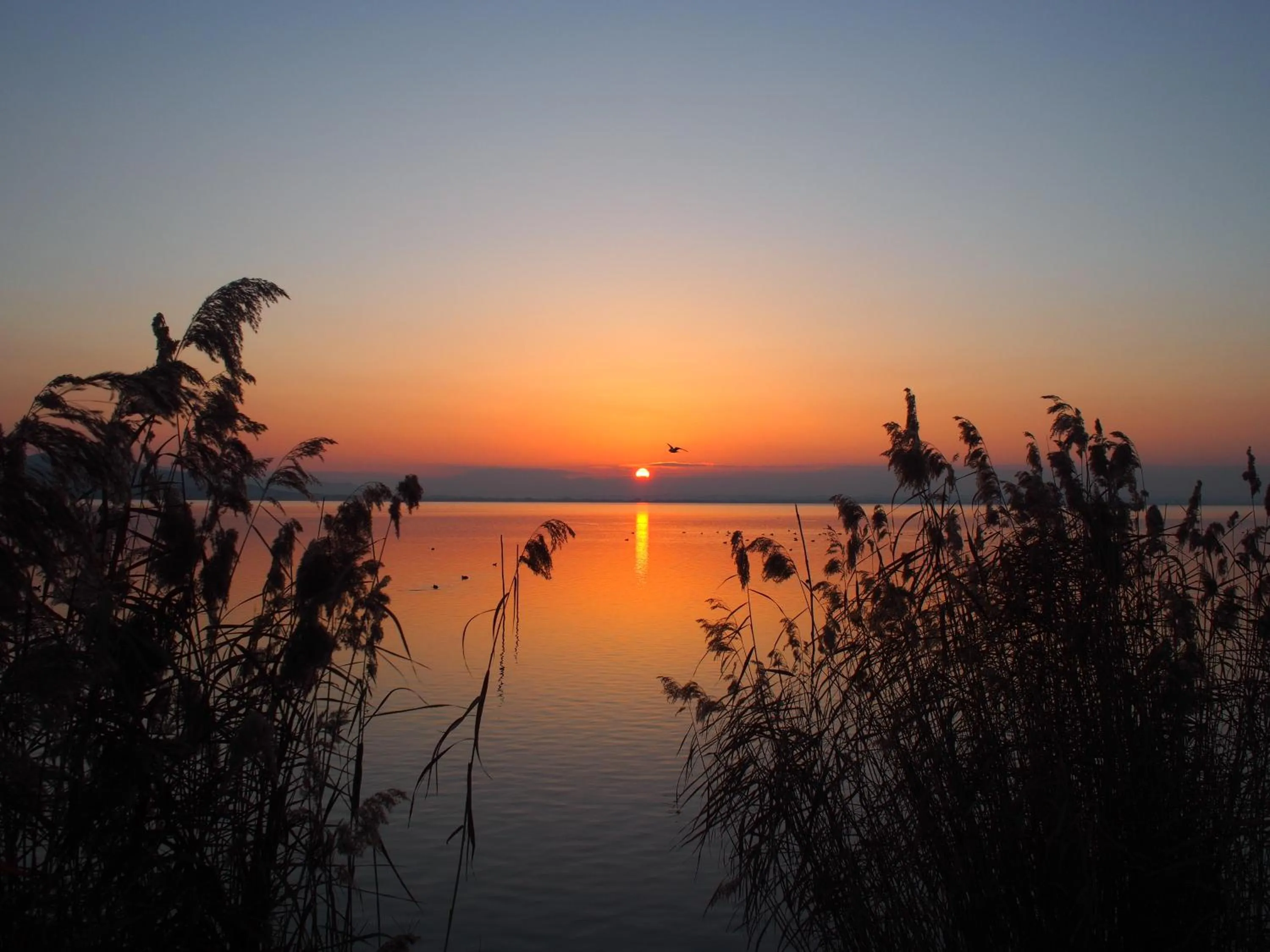 Natural landscape in Hotel Le Tre Isole