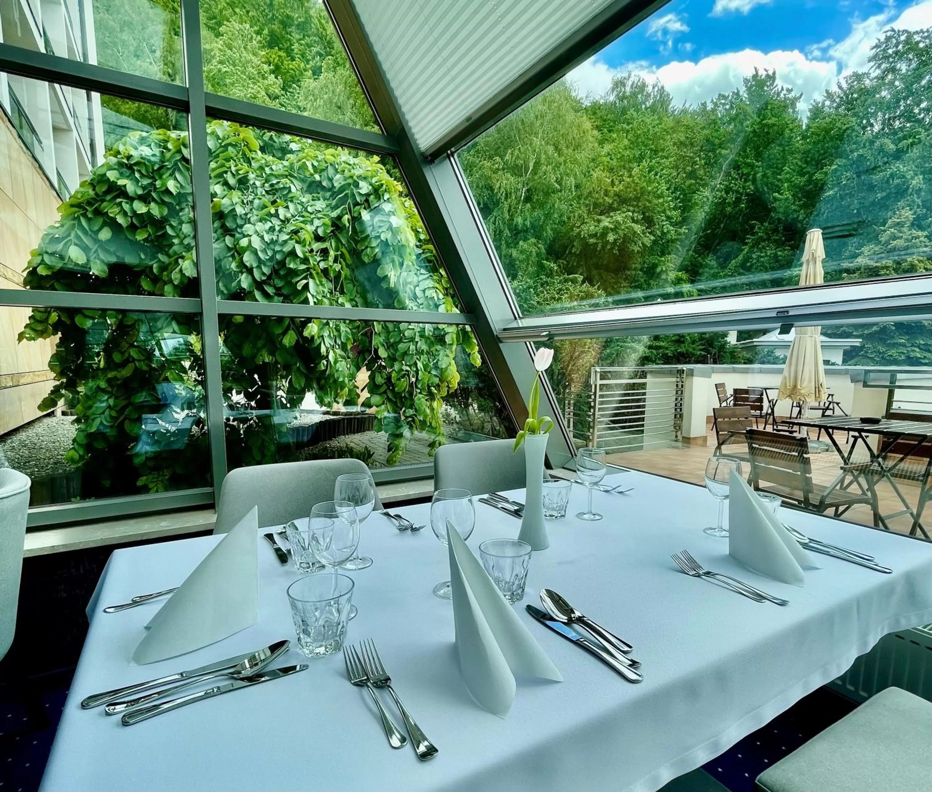 Restaurant/places to eat in Hotel Belweder