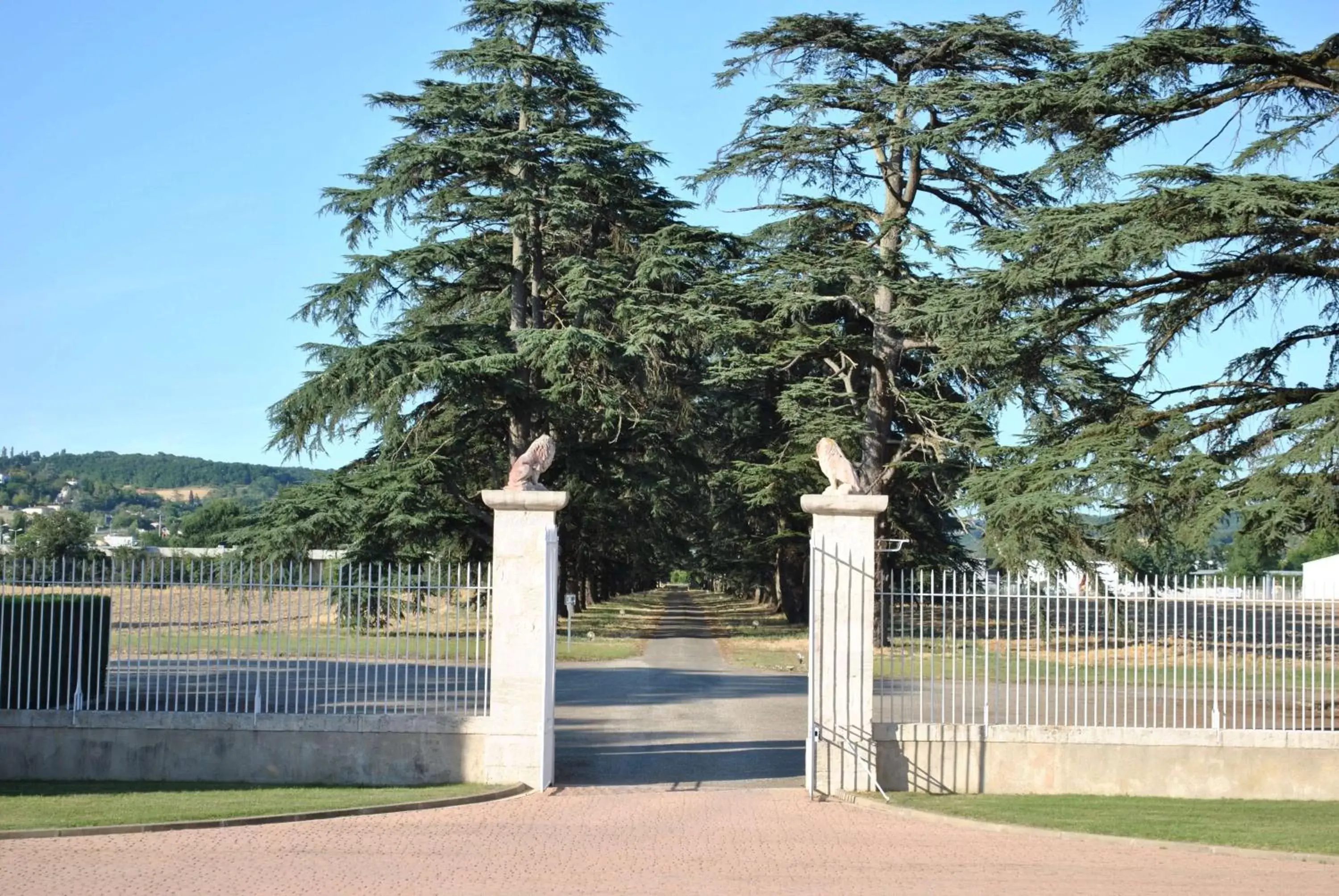 Facade/entrance, Swimming Pool in Logis Château Saint Marcel