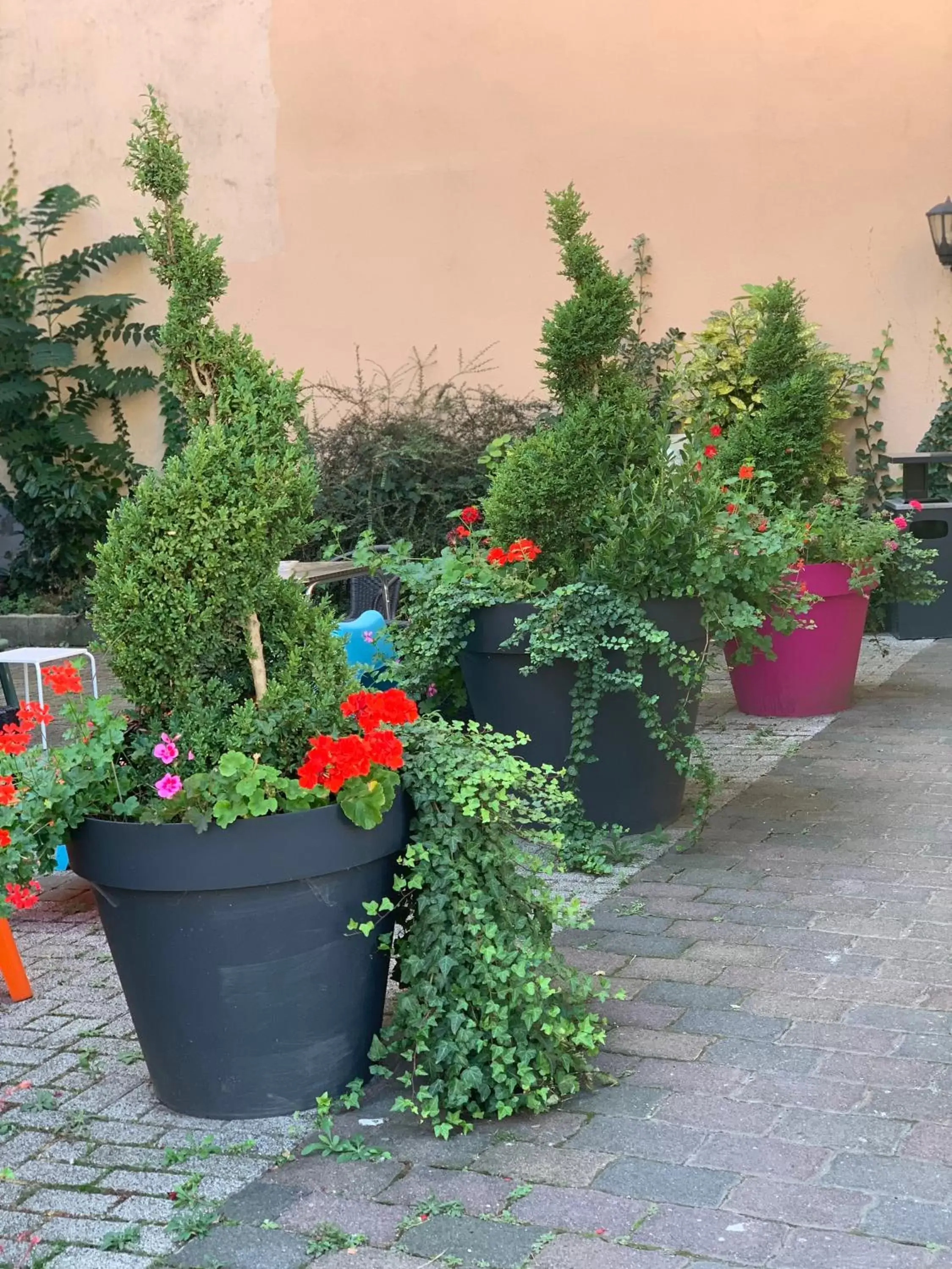 Patio, Garden in Hotel Bristol