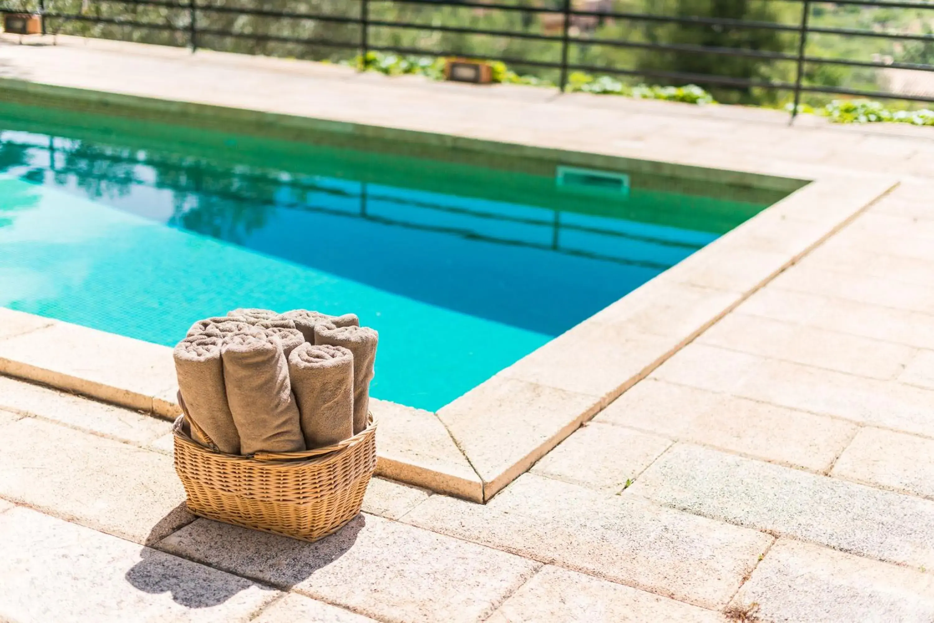 Decorative detail, Swimming Pool in Es Pinar