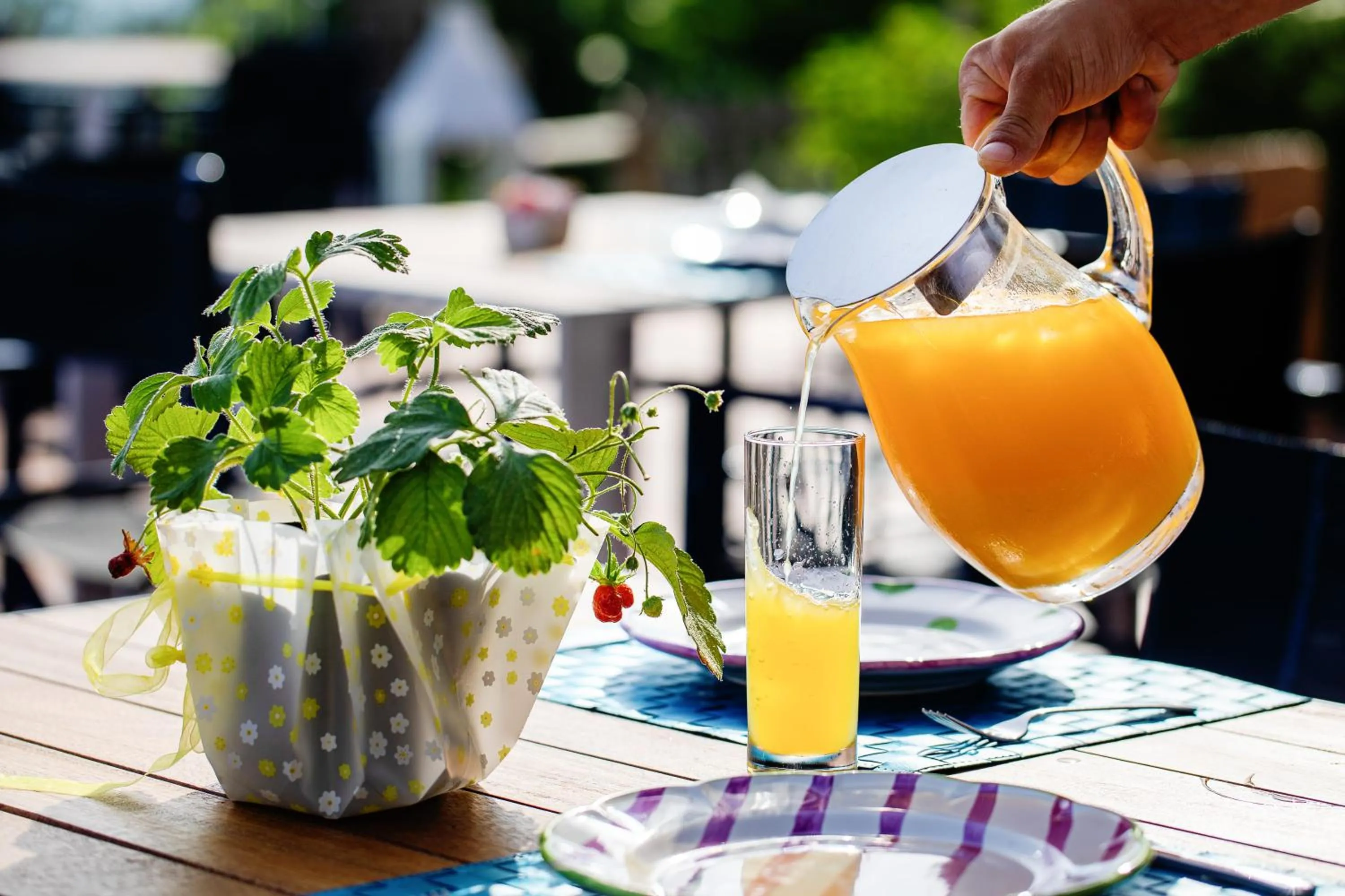 Breakfast in Hotel Torre Barbara