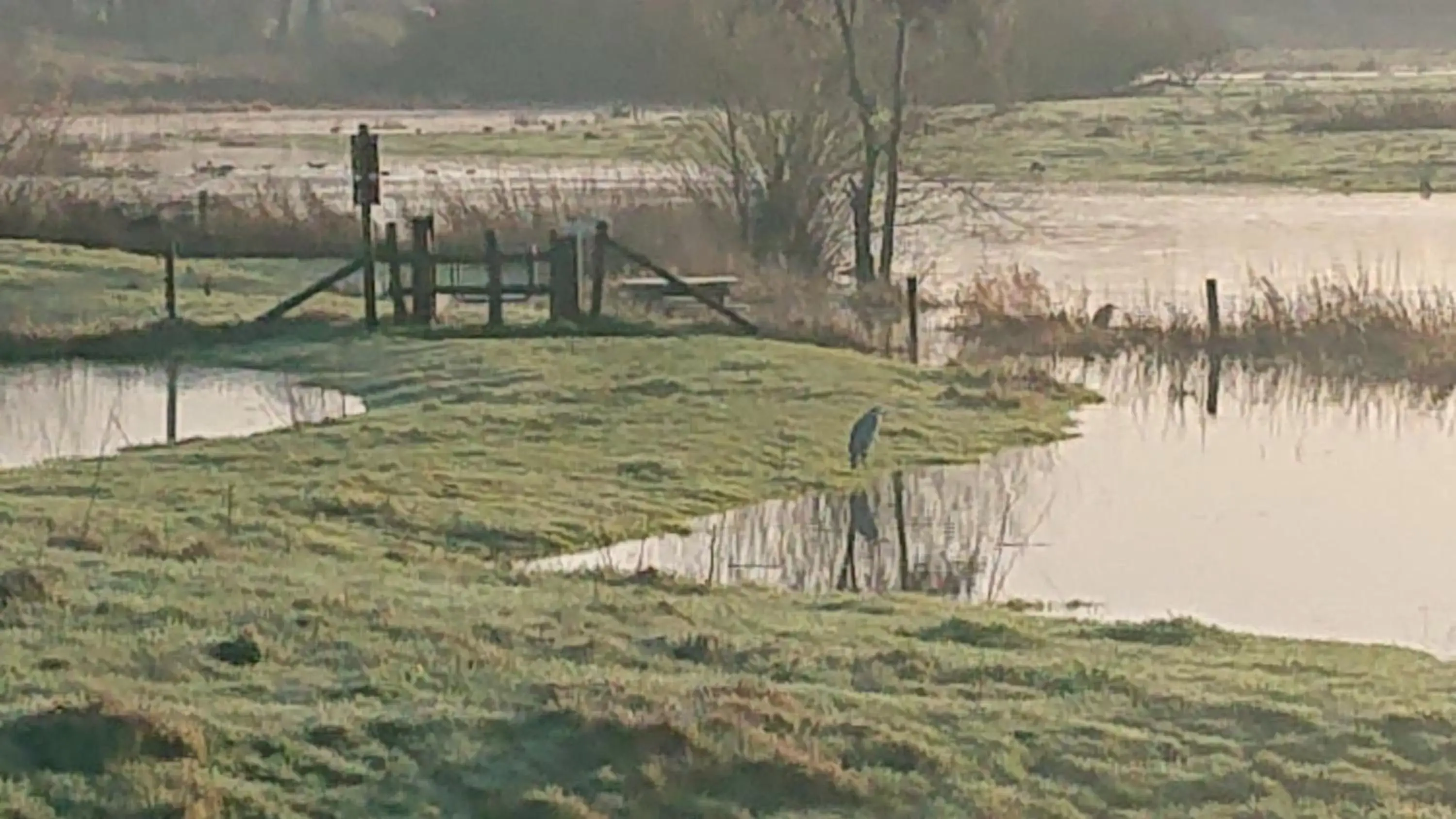 Natural landscape in De Sprokkel