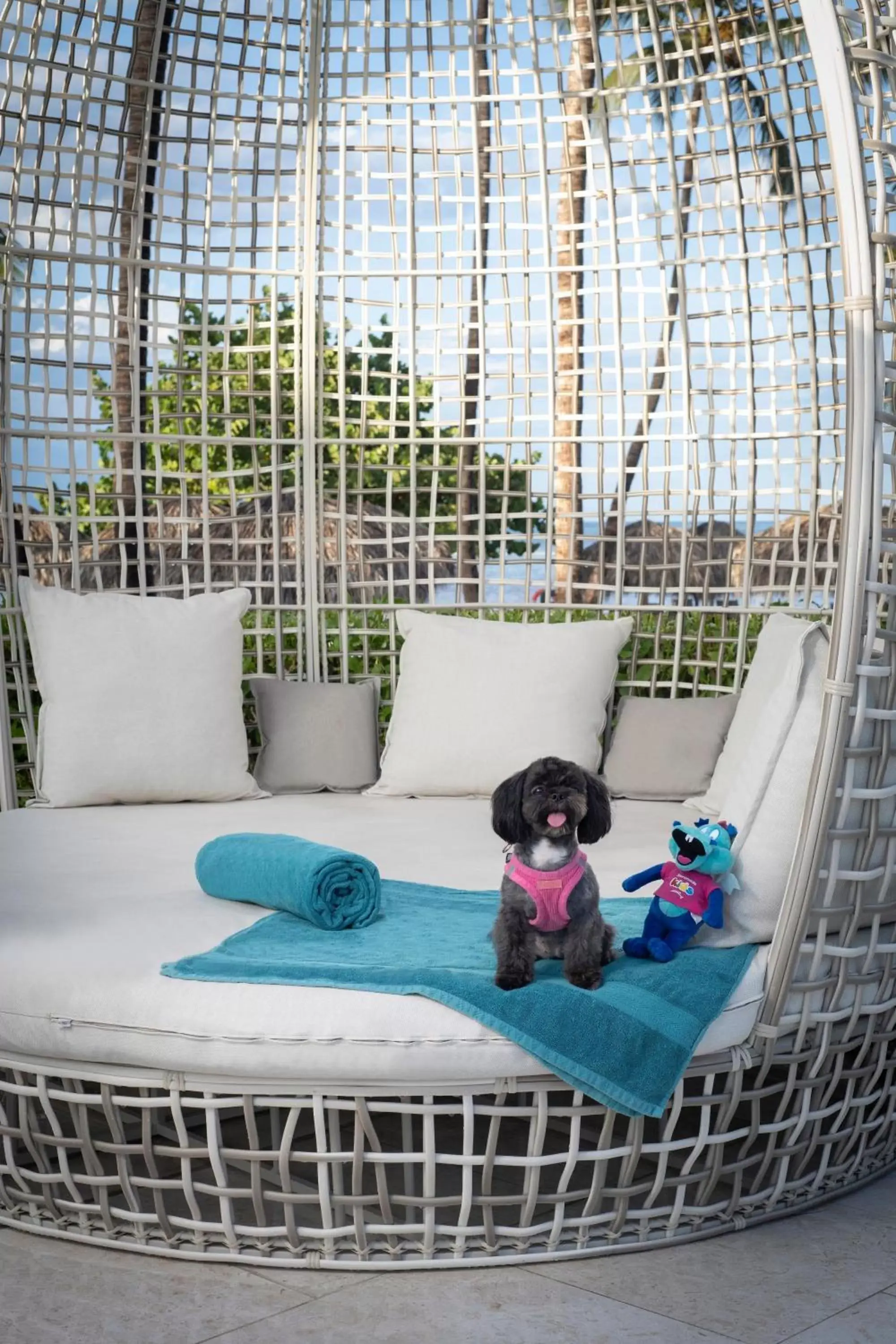 Pets, Children in Serenade Punta Cana Beach & Spa Resort