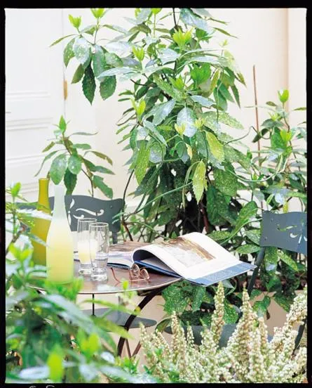 Patio in HOTEL ALISON