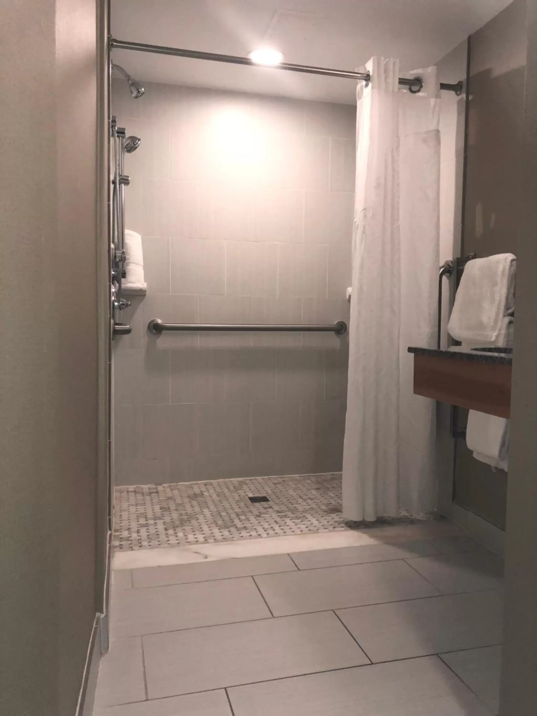 Shower, Bathroom in Holiday Inn Raleigh Downtown