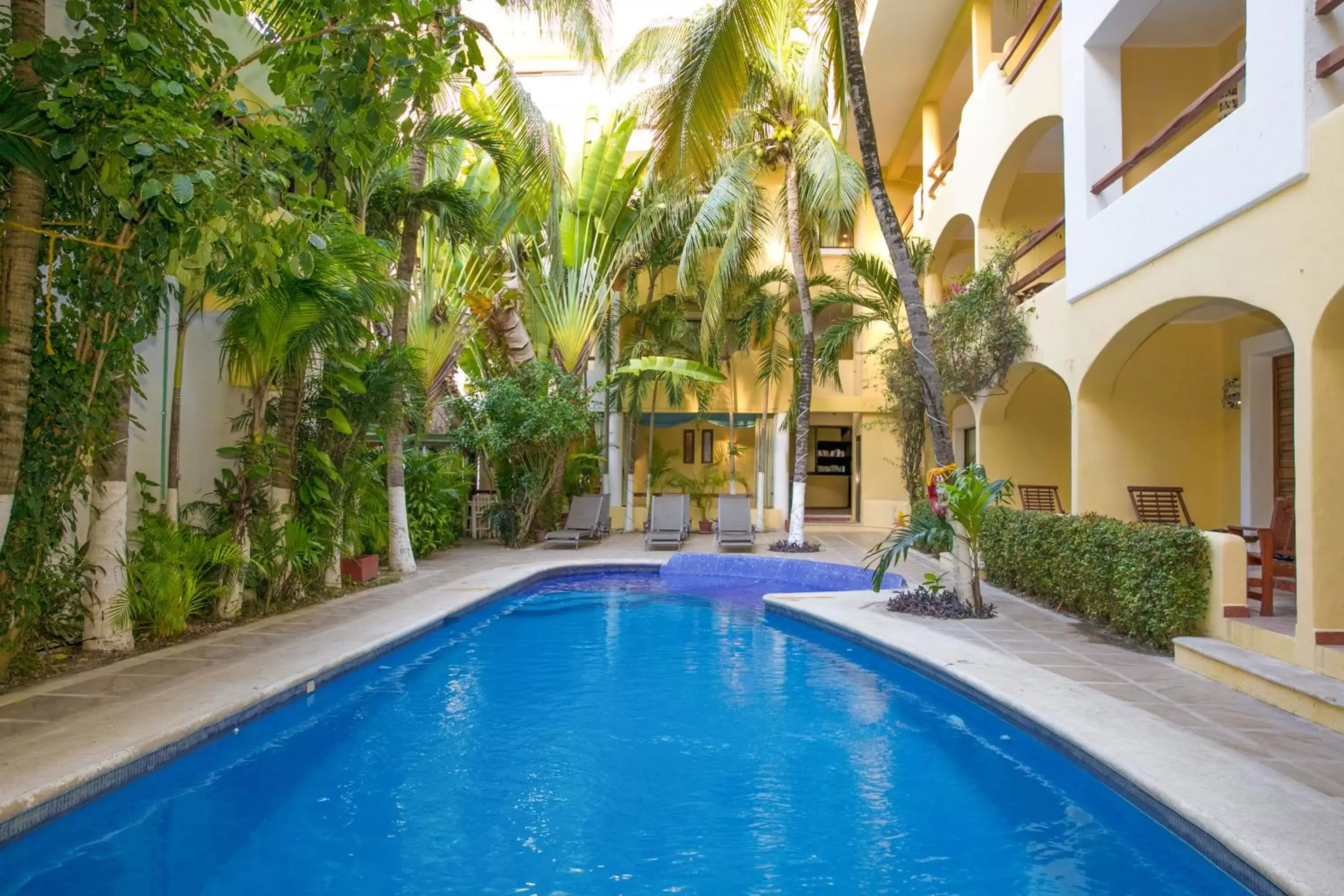 Garden, Swimming Pool in Hotel Riviera Caribe Maya