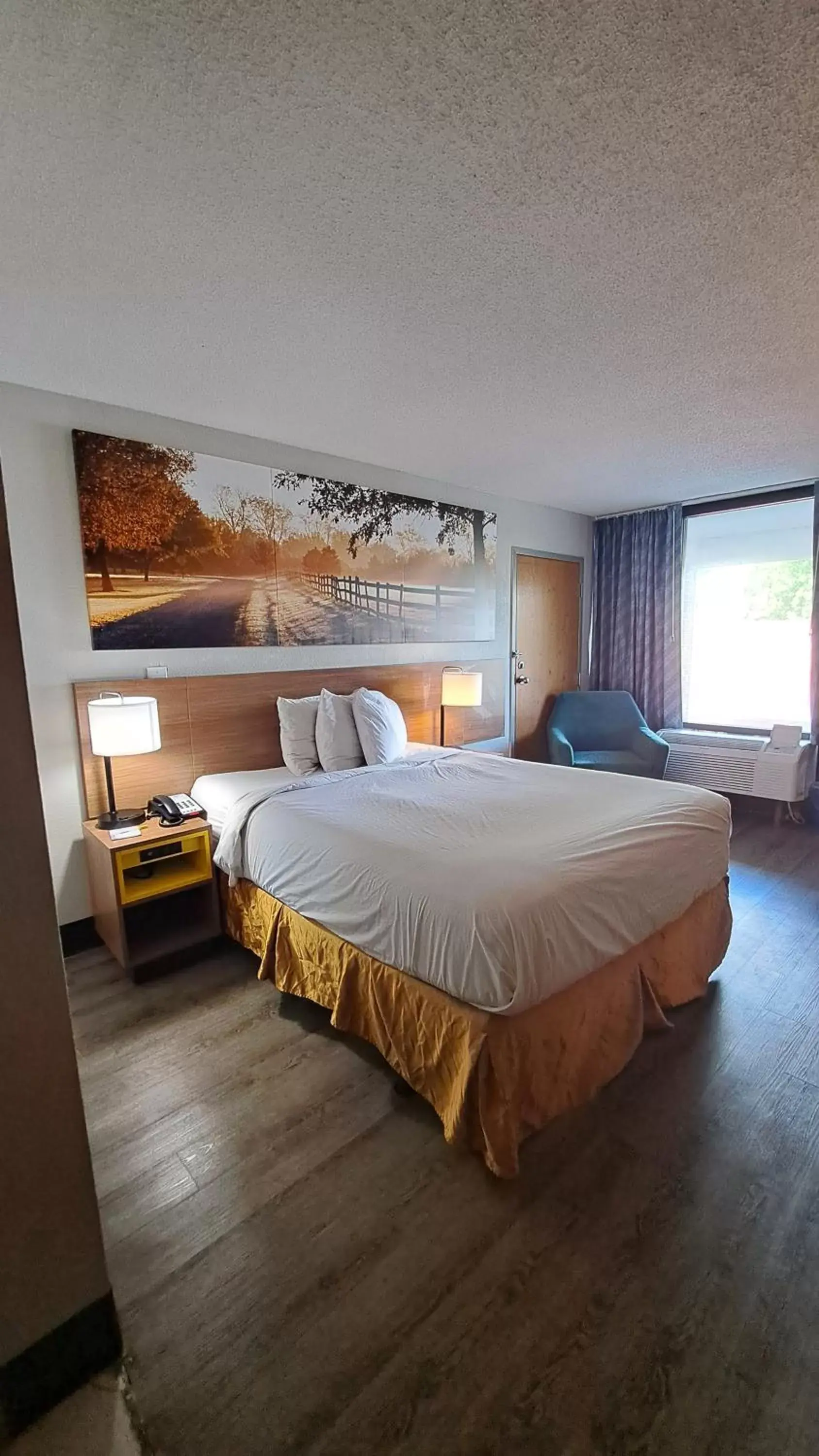 Bed in Days Inn & Suites by Wyndham Rocky Mount Golden East