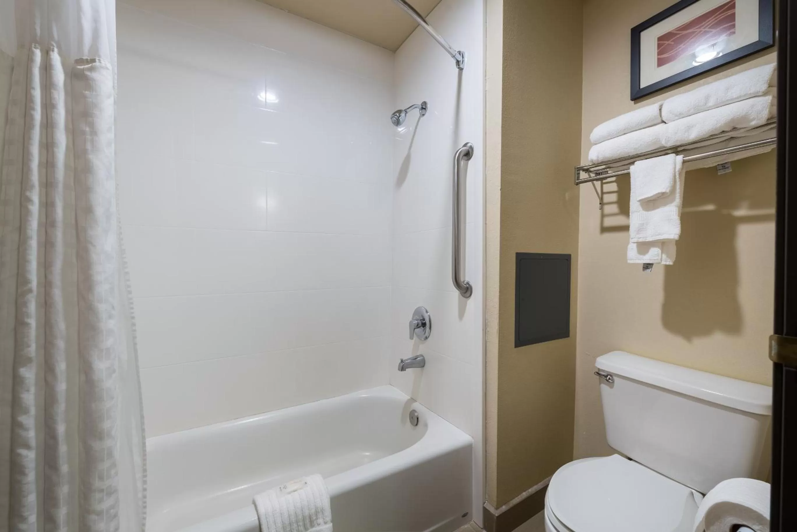 Toilet in Comfort Inn & Suites Alamosa