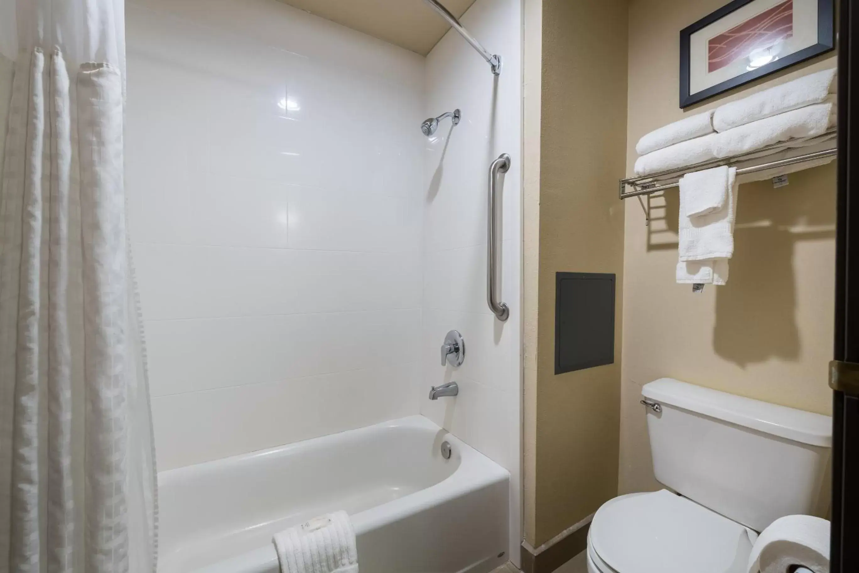 Bathroom in Comfort Inn & Suites Alamosa