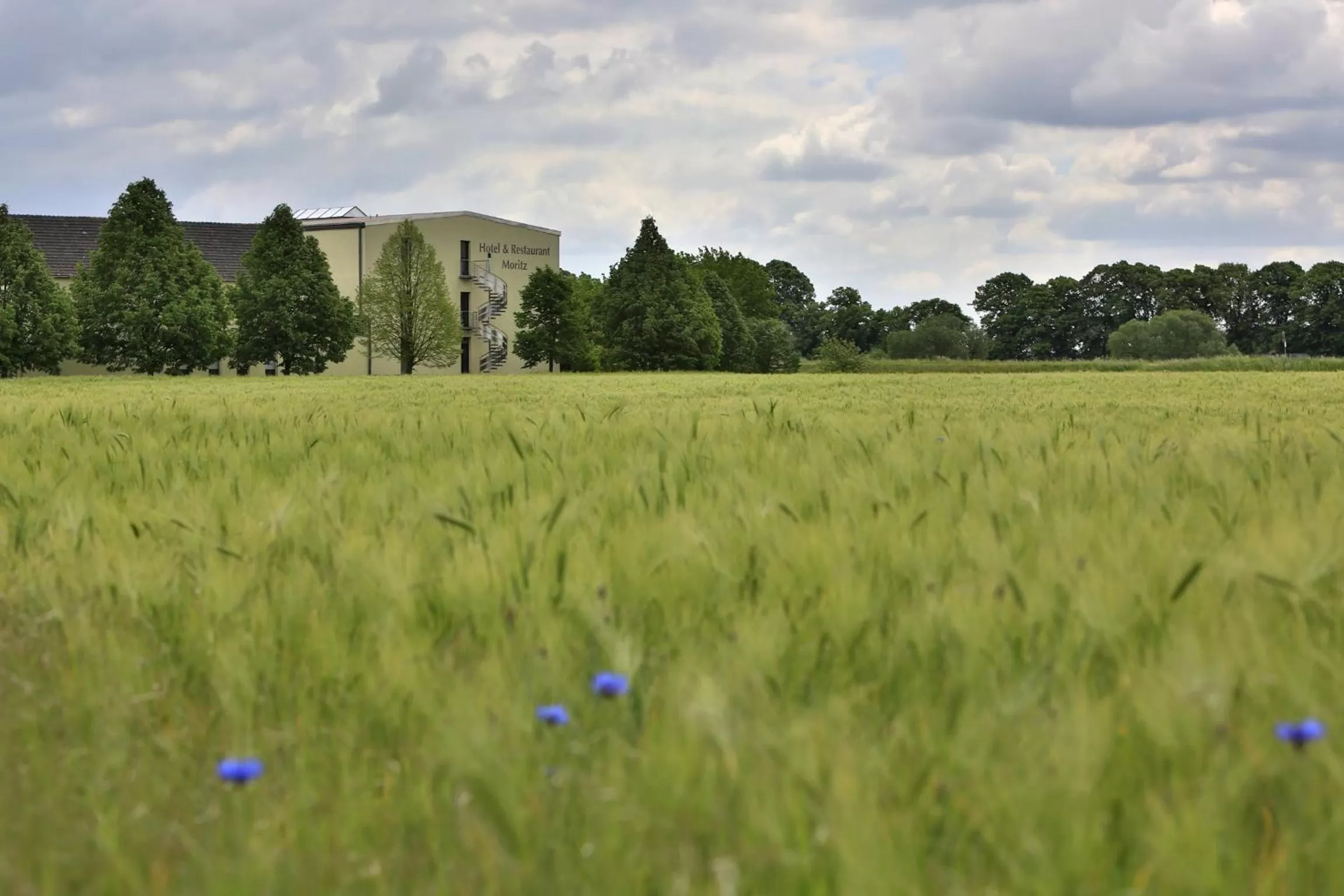 Property building in Hotel Moritz an der Elbe