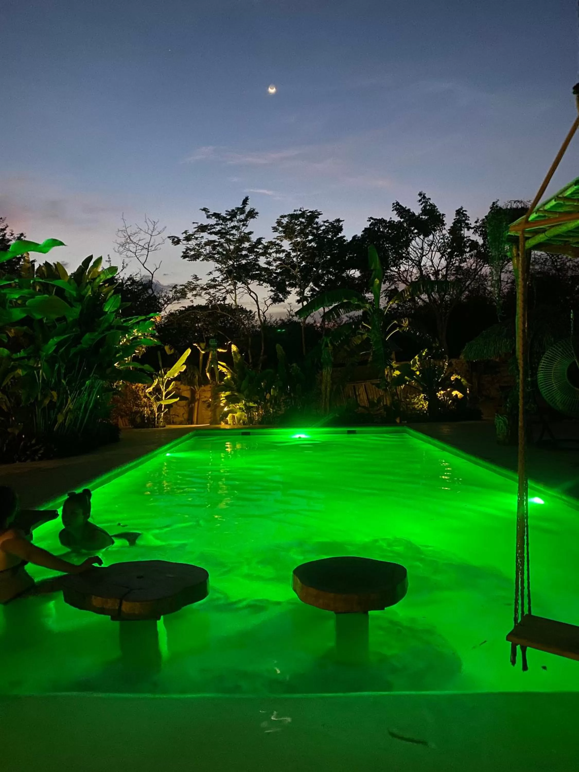 Garden, Swimming Pool in RESET ATEMPORAL