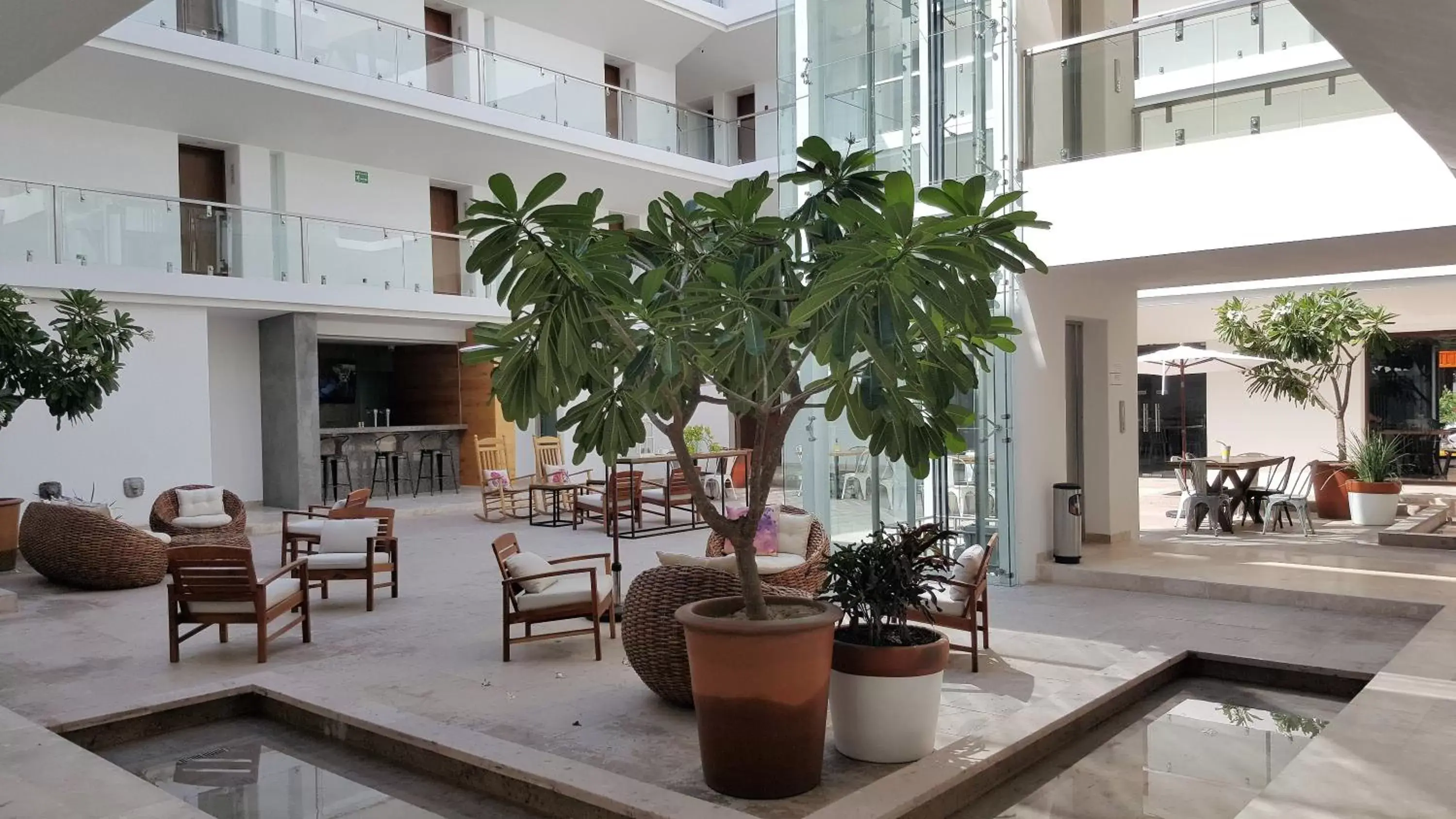 Patio, Lobby/Reception in Hotel Catedral La Paz