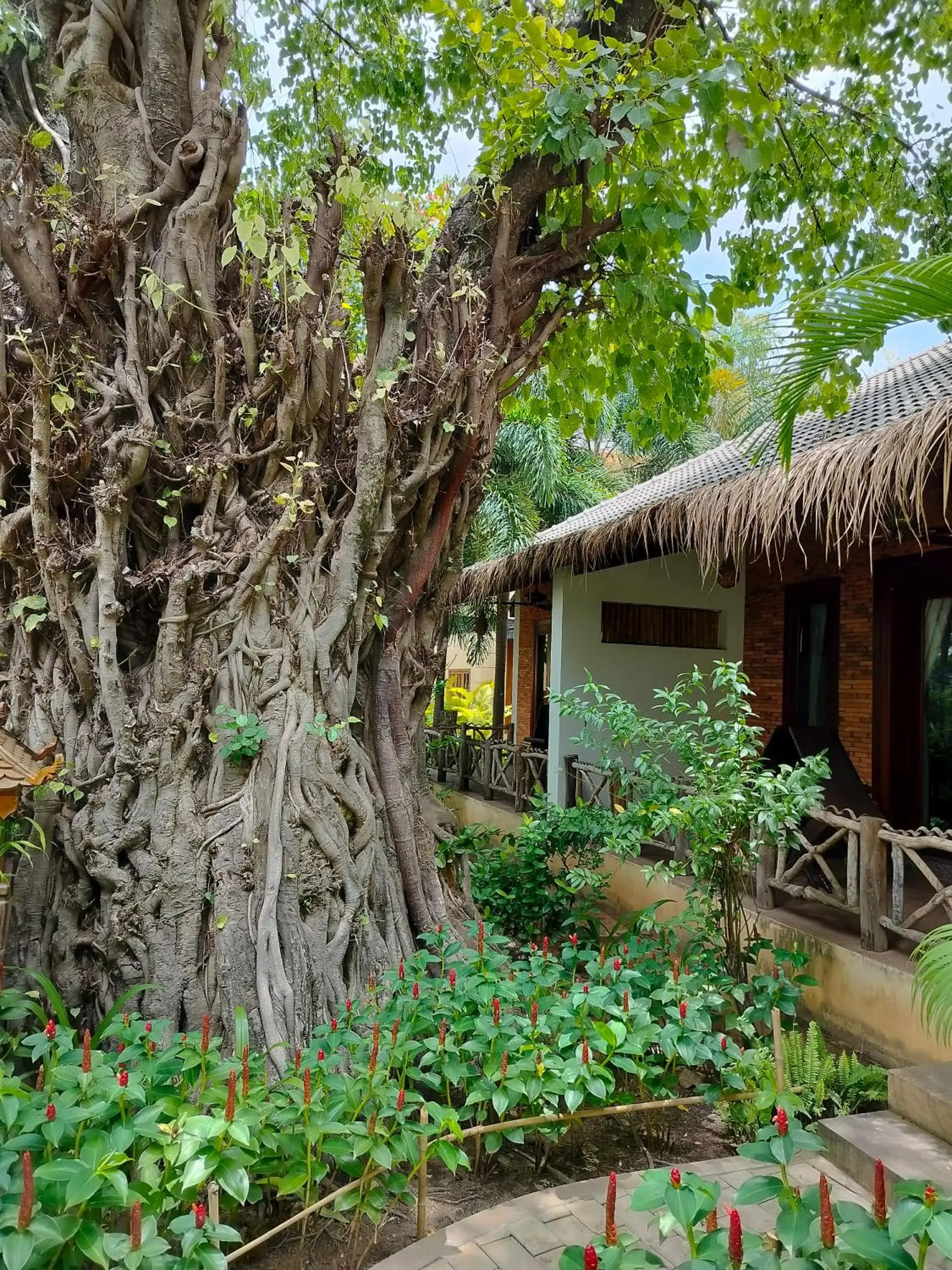 Garden, Property Building in La Rivière d' Angkor Resort